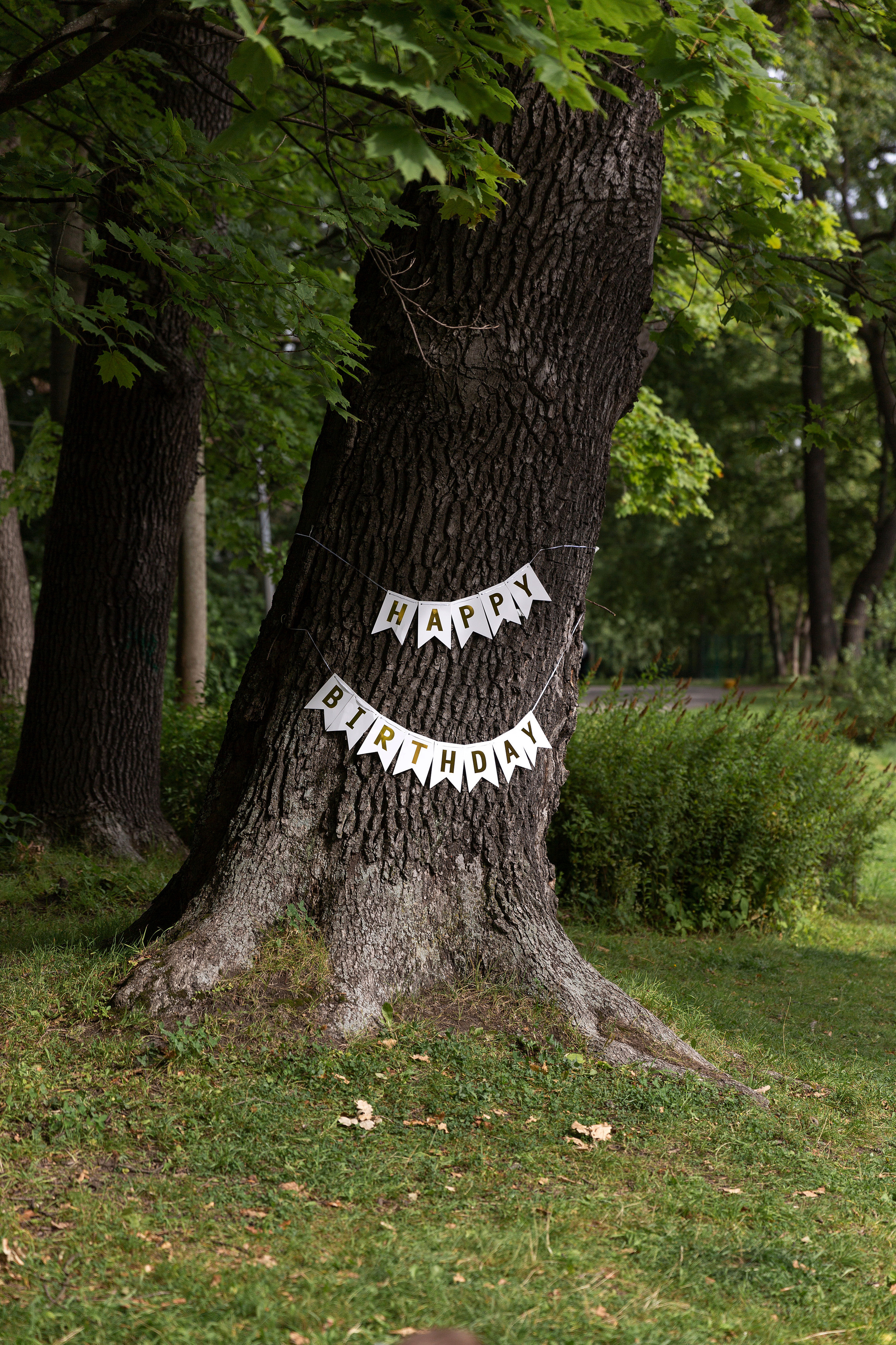 Съемка годовасия на природе. Свадебный и портретный фотограф в Санкт-Петербурге Надежда Чечулина