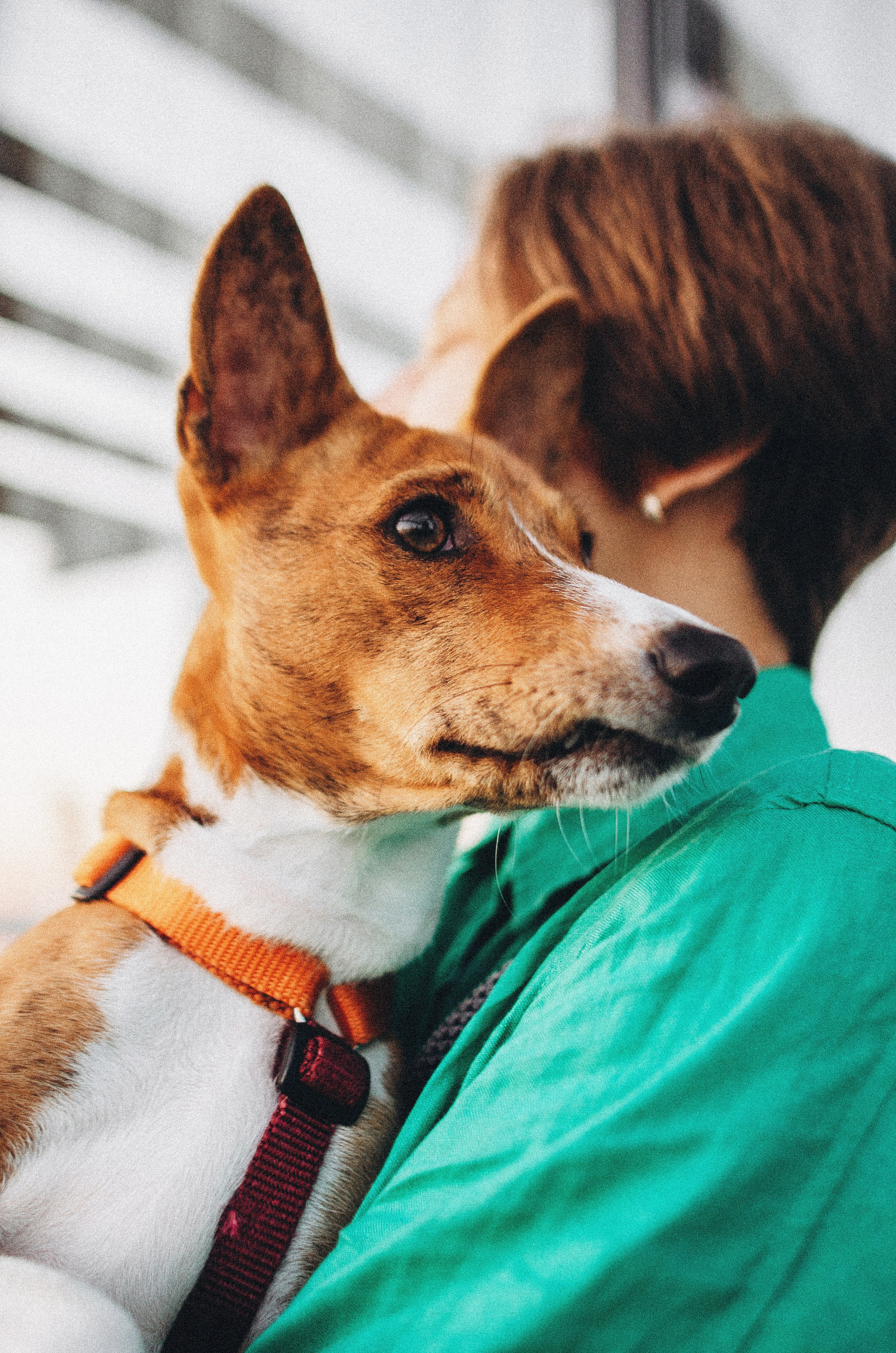 Снежана и Мэнни. Фотограф-анималист Богданова Полина