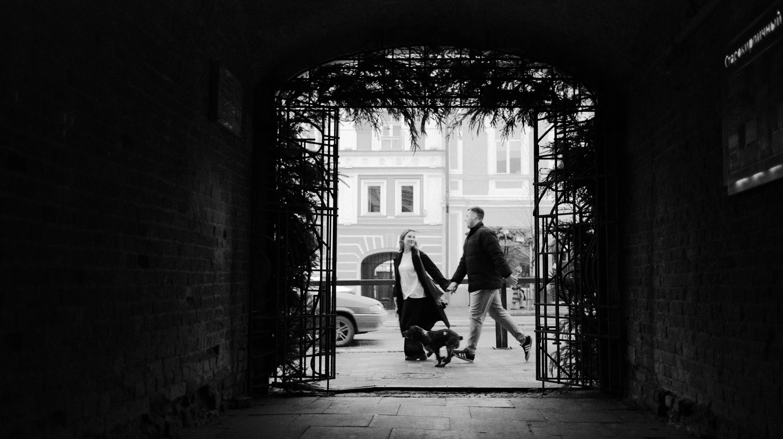 Вика и Кирилл. Фотограф-анималист Богданова Полина