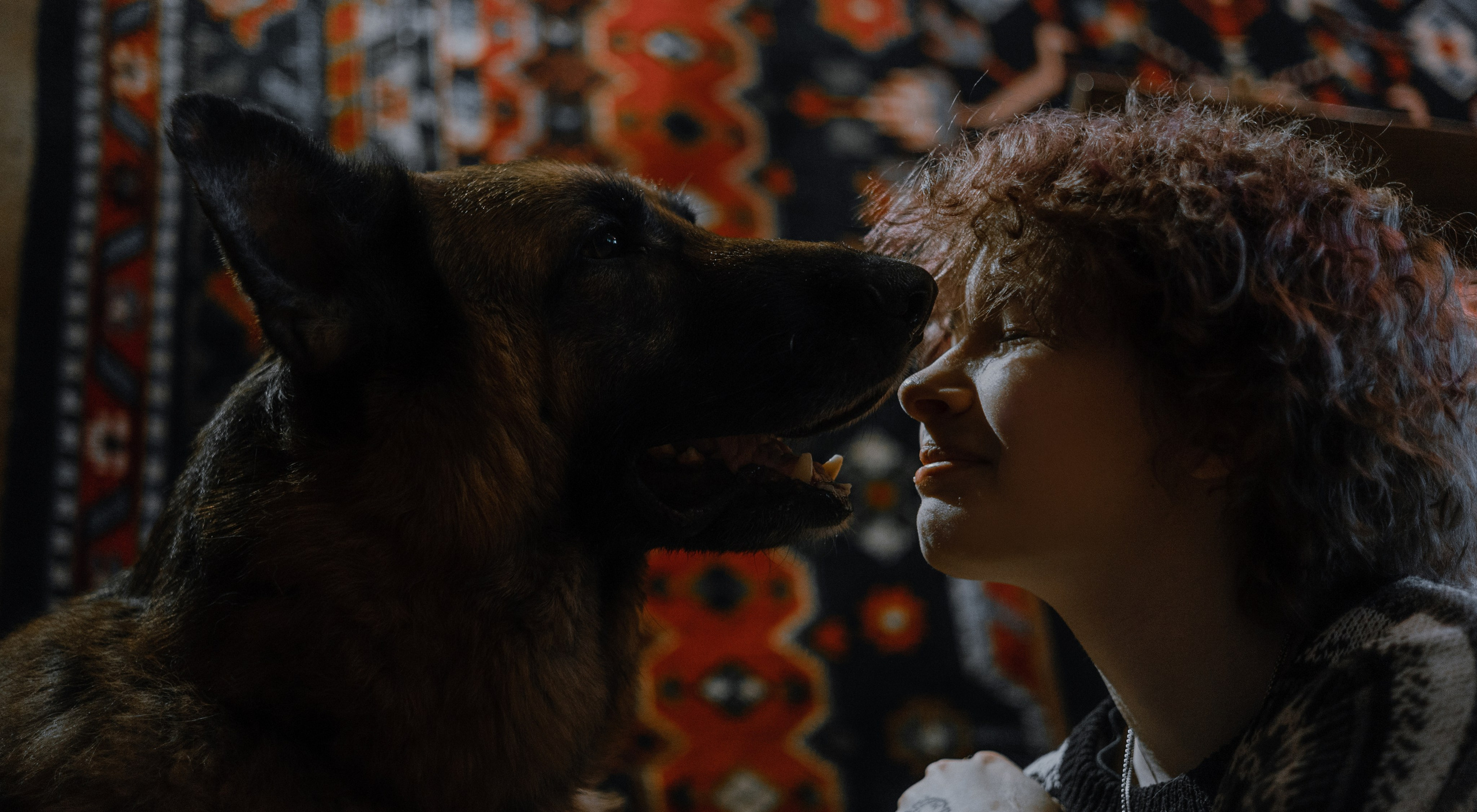 Лера, Реджи и Ральф. Фотограф-анималист Богданова Полина