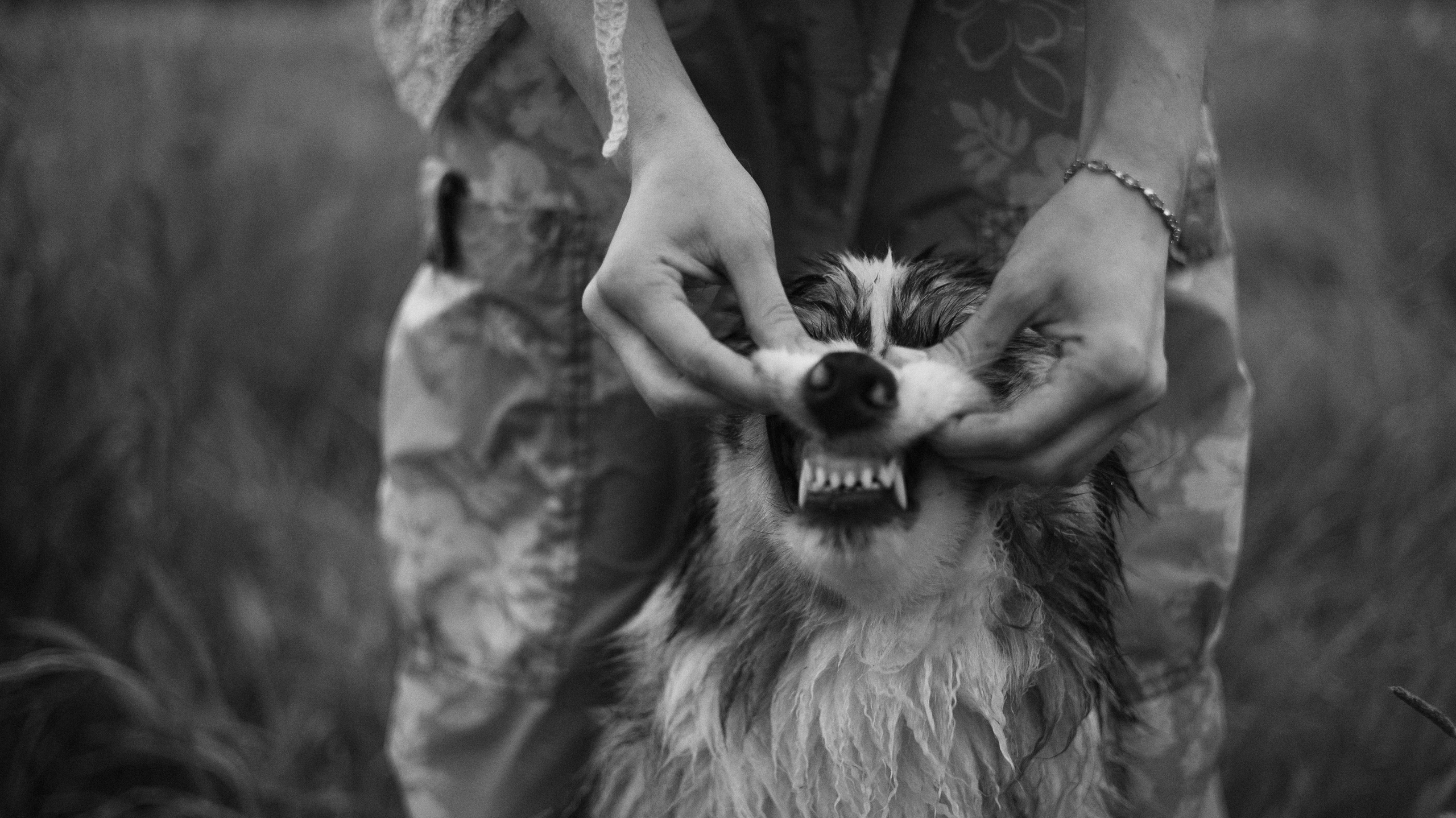 Маша и Долли. Фотограф-анималист Богданова Полина