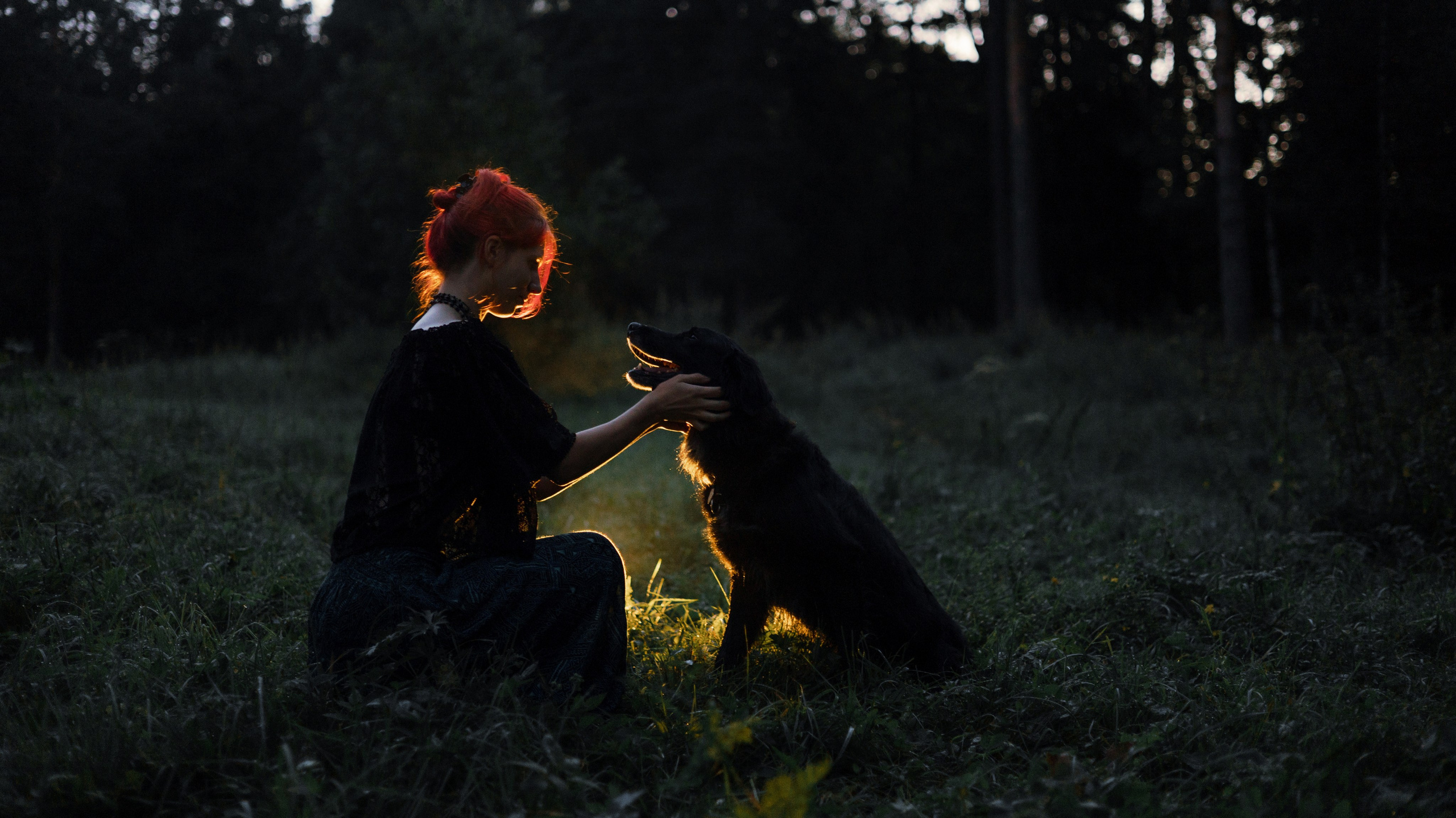 Лиза и Коди. Фотограф-анималист Богданова Полина