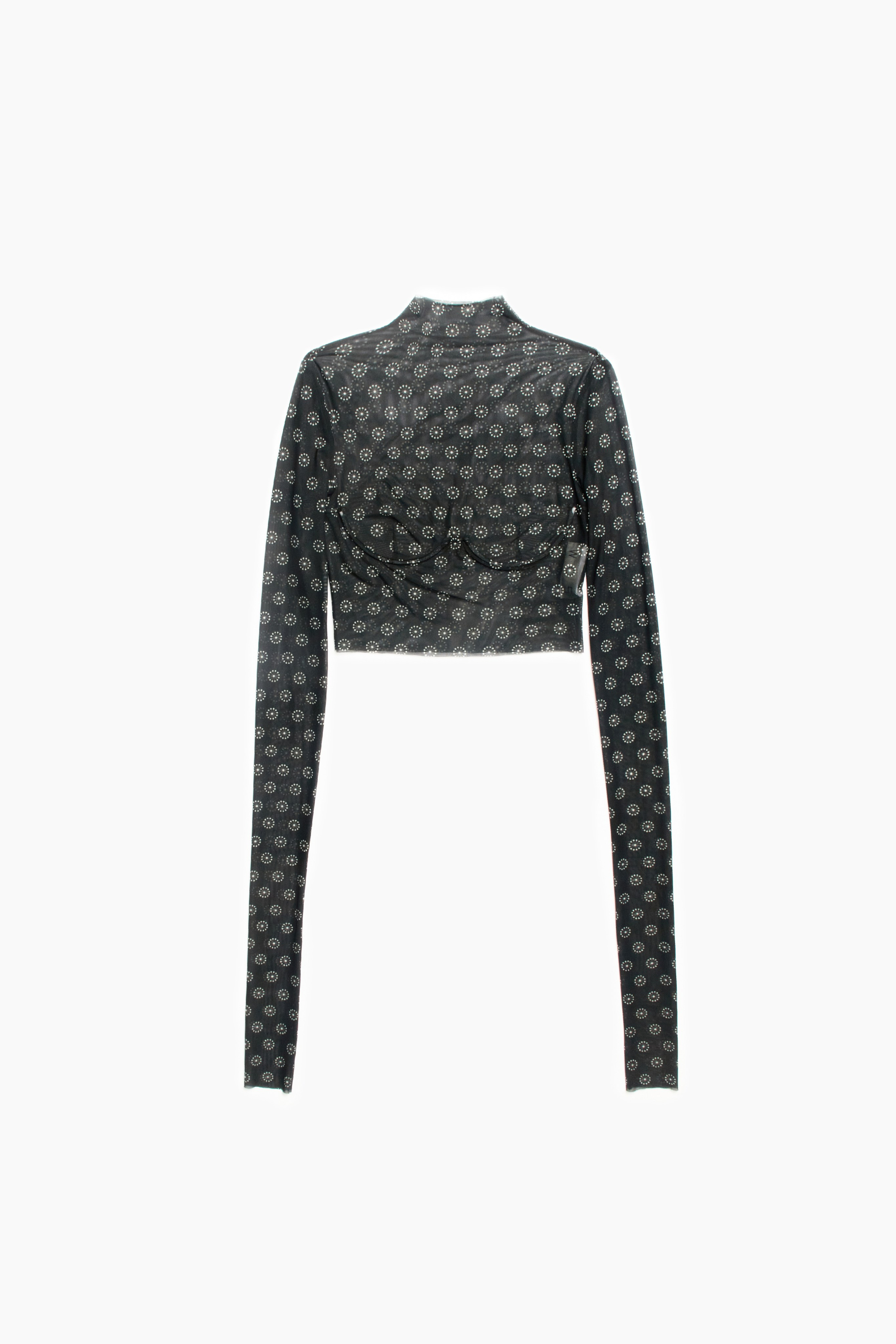 WALK OF SHAME. Andrew Valmus