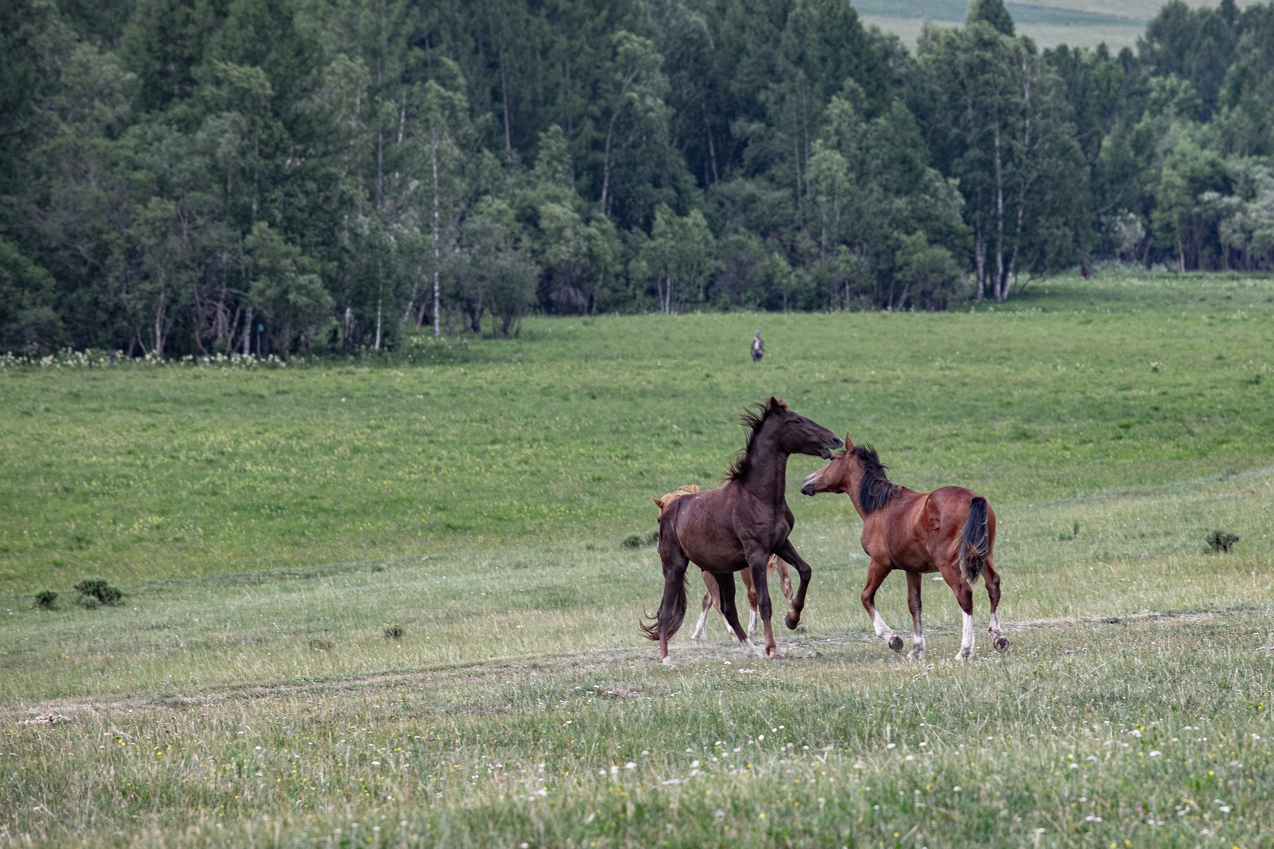 Тындулар. Фотограф Эдуард Алмадаков