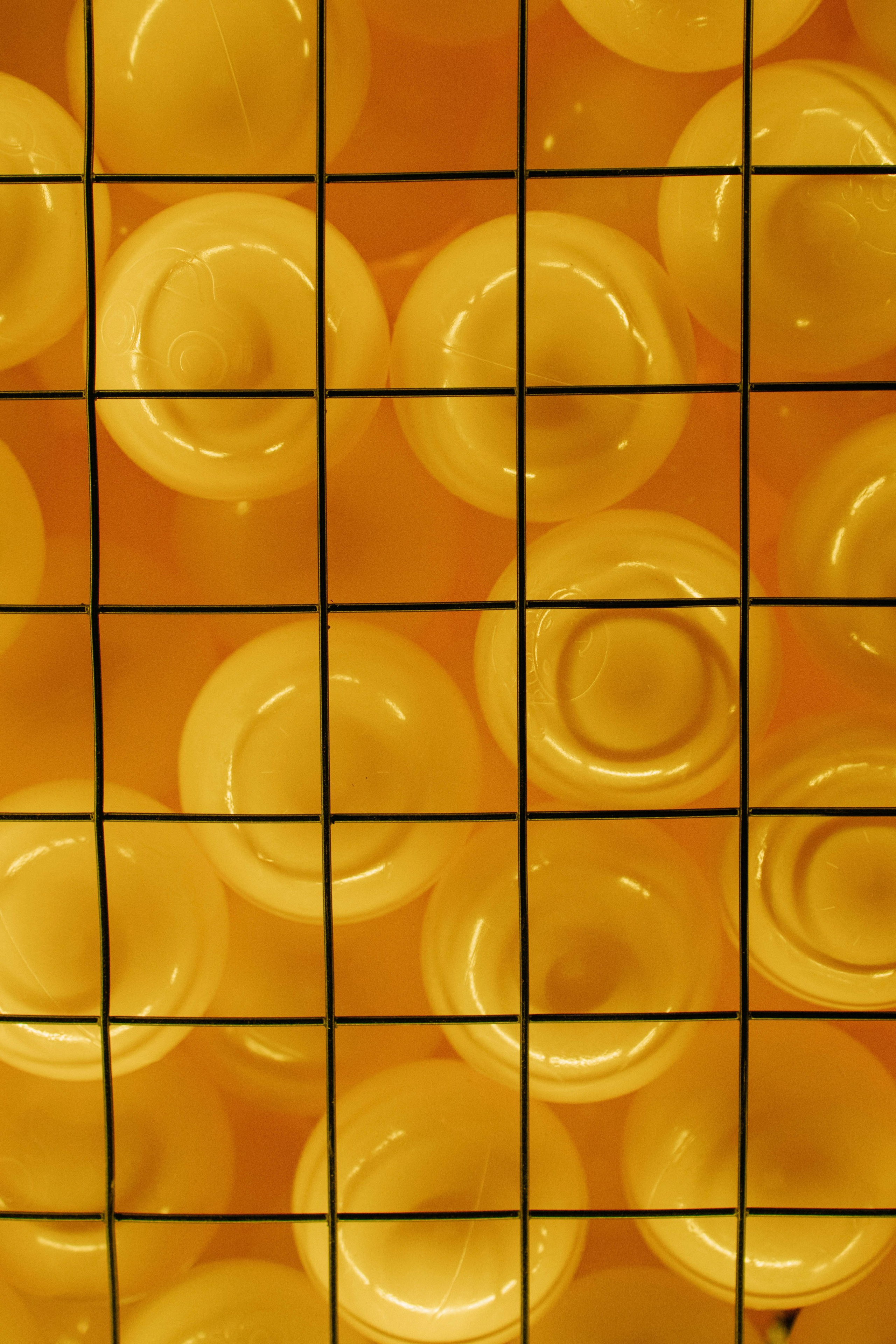 Бери заряд. Свадебный фотограф Москва Александра Аверкова