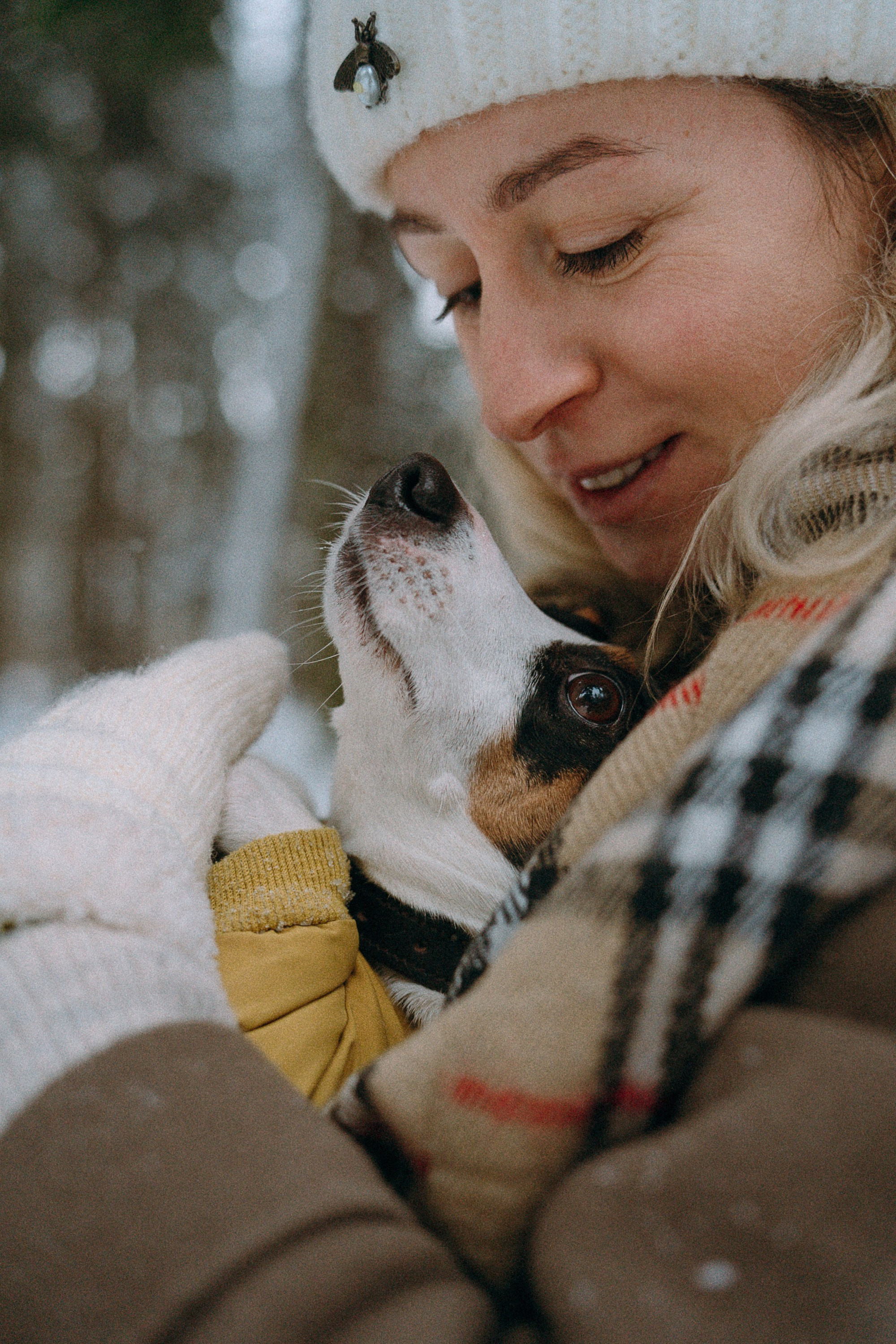 Алина, Ваниль и Элис. Фотограф анималист в Москве и Санкт-Петербурге Свиридова Анна