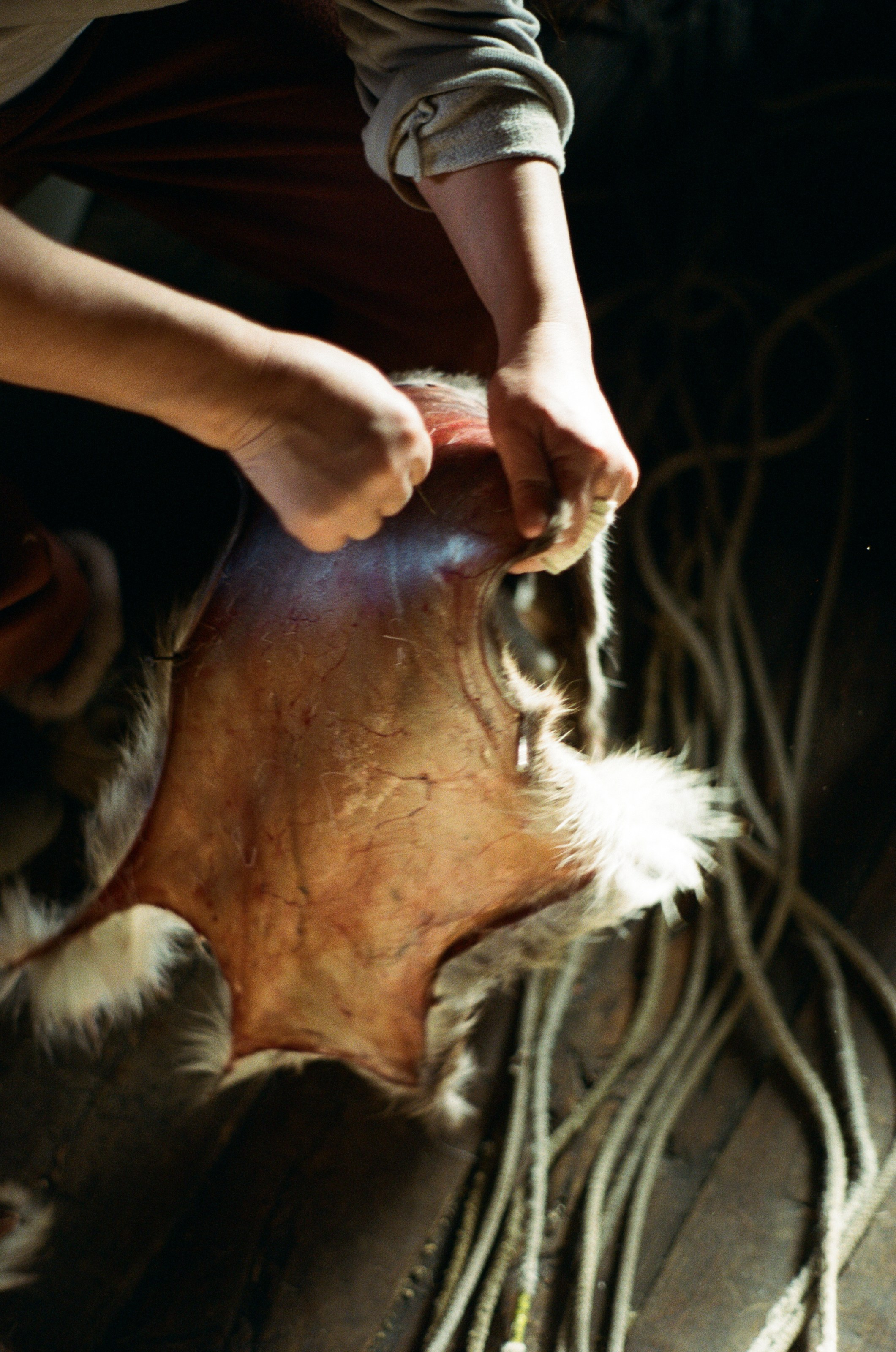 Не забудь накормить озеро. Natalya Madilyan