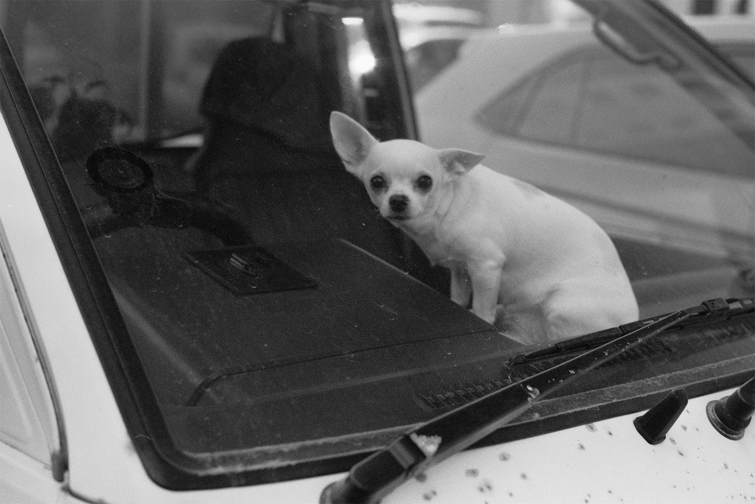 Street-photo города Новосибирск. Портретный и репортажный фотограф. Мыльников Илья