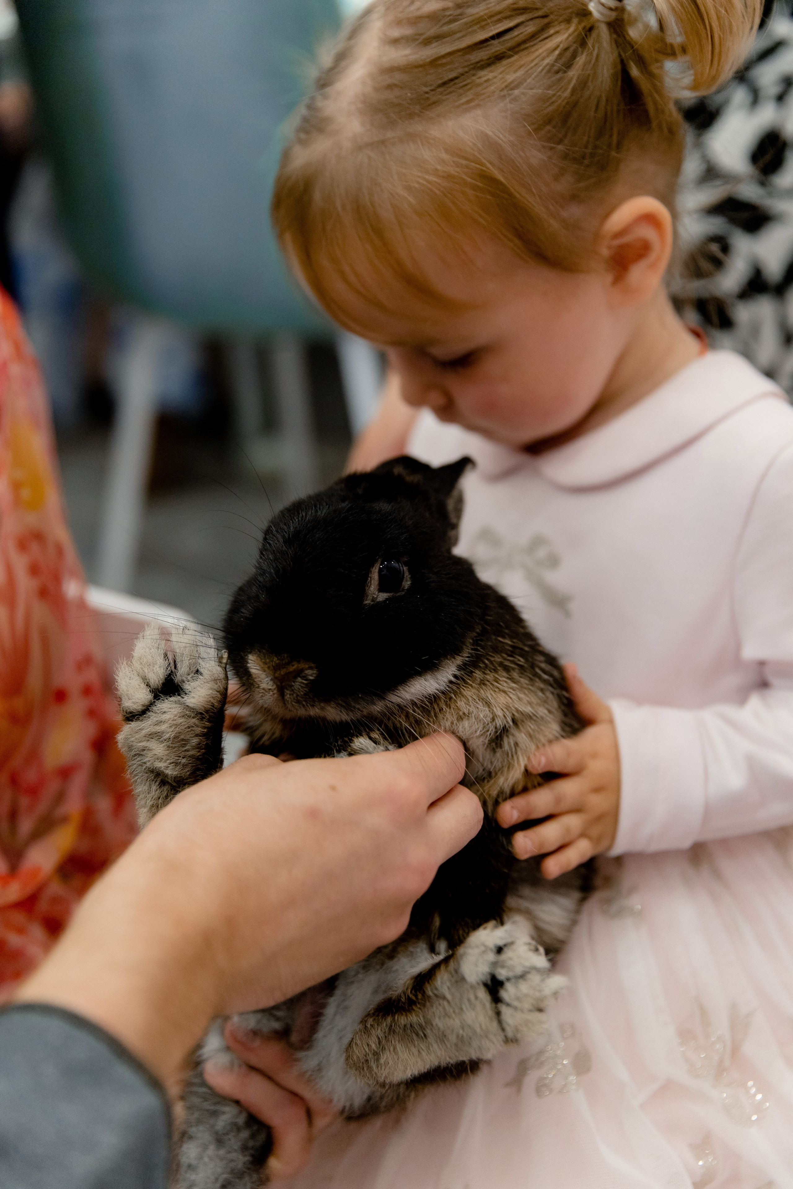 Стефания 2 года. Фотограф Роман Полянин