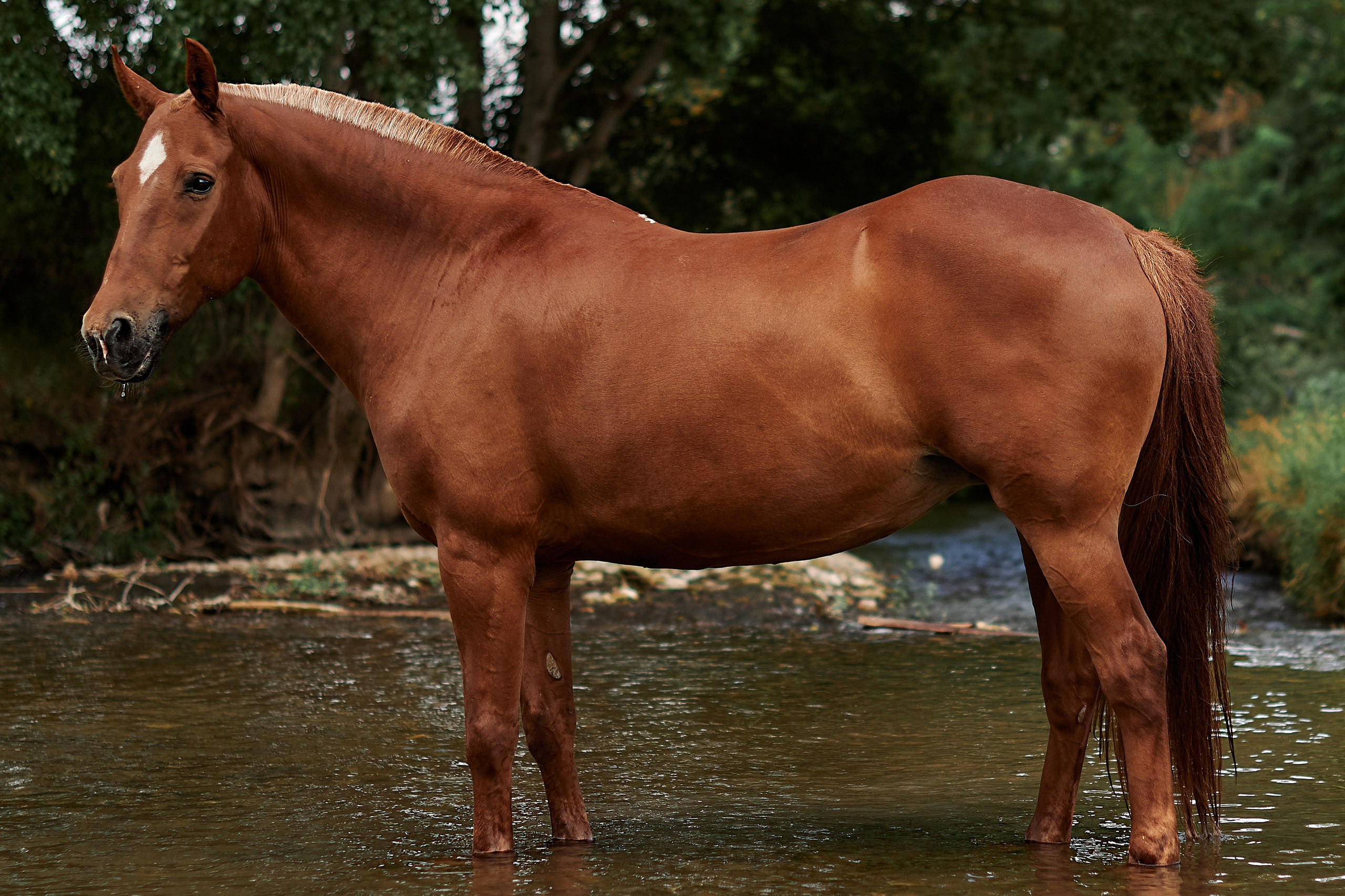Касандра. Фотограф в Севастополе