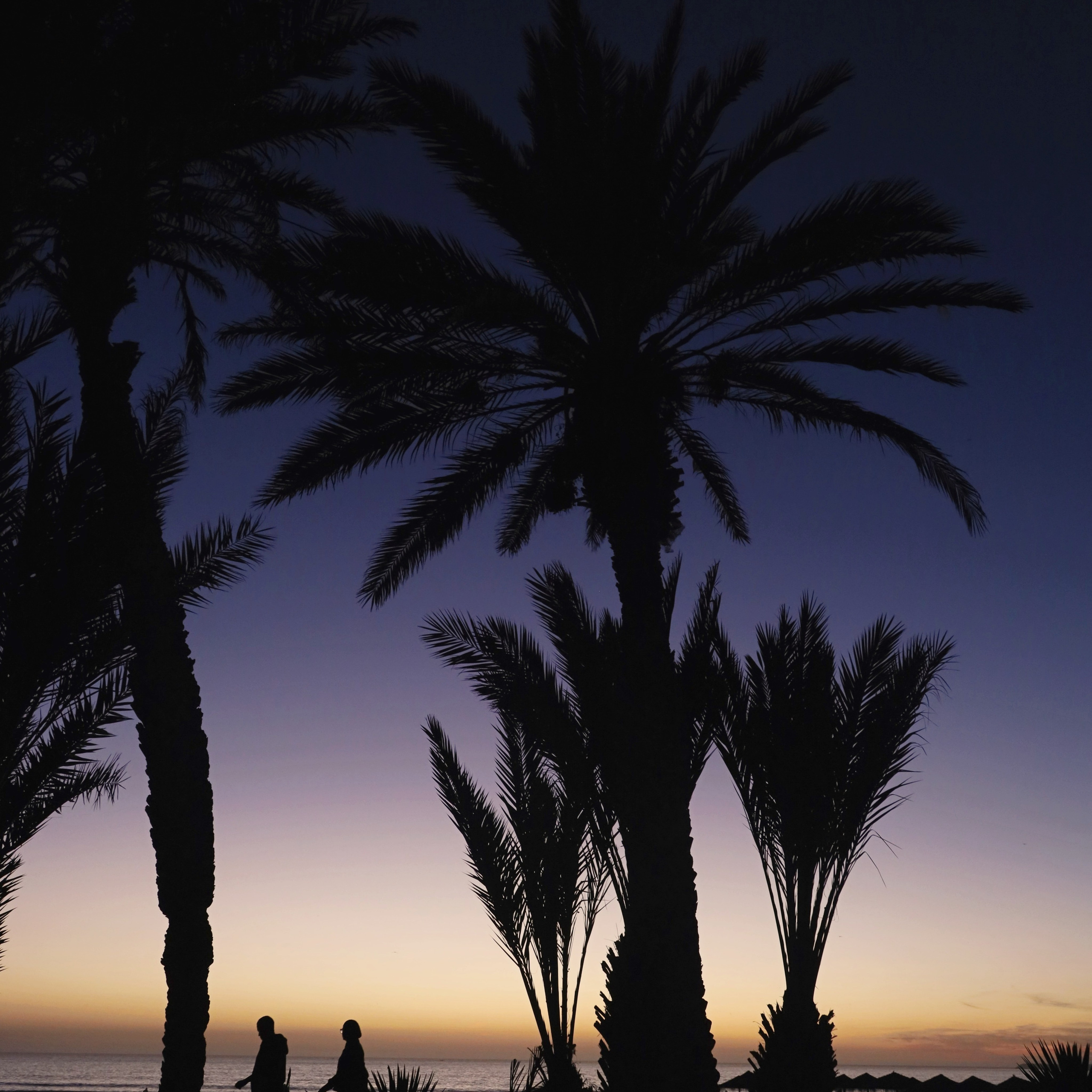 МАРОККО-ТУРЦИЯ /// 23.11-12.12.2025. СПБНЛО