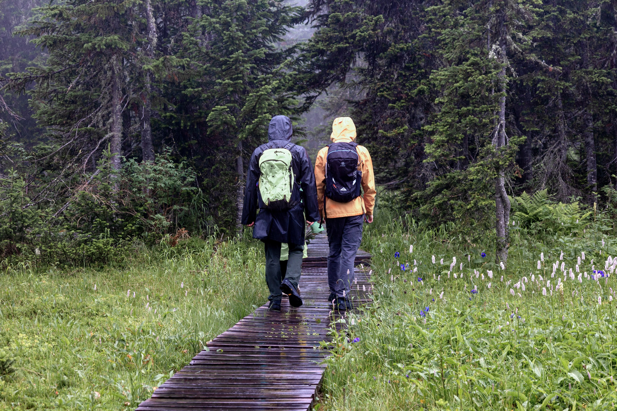 Ергаки. Семейный и детский фотограф в Красноярске, Дивногорцева Светлана