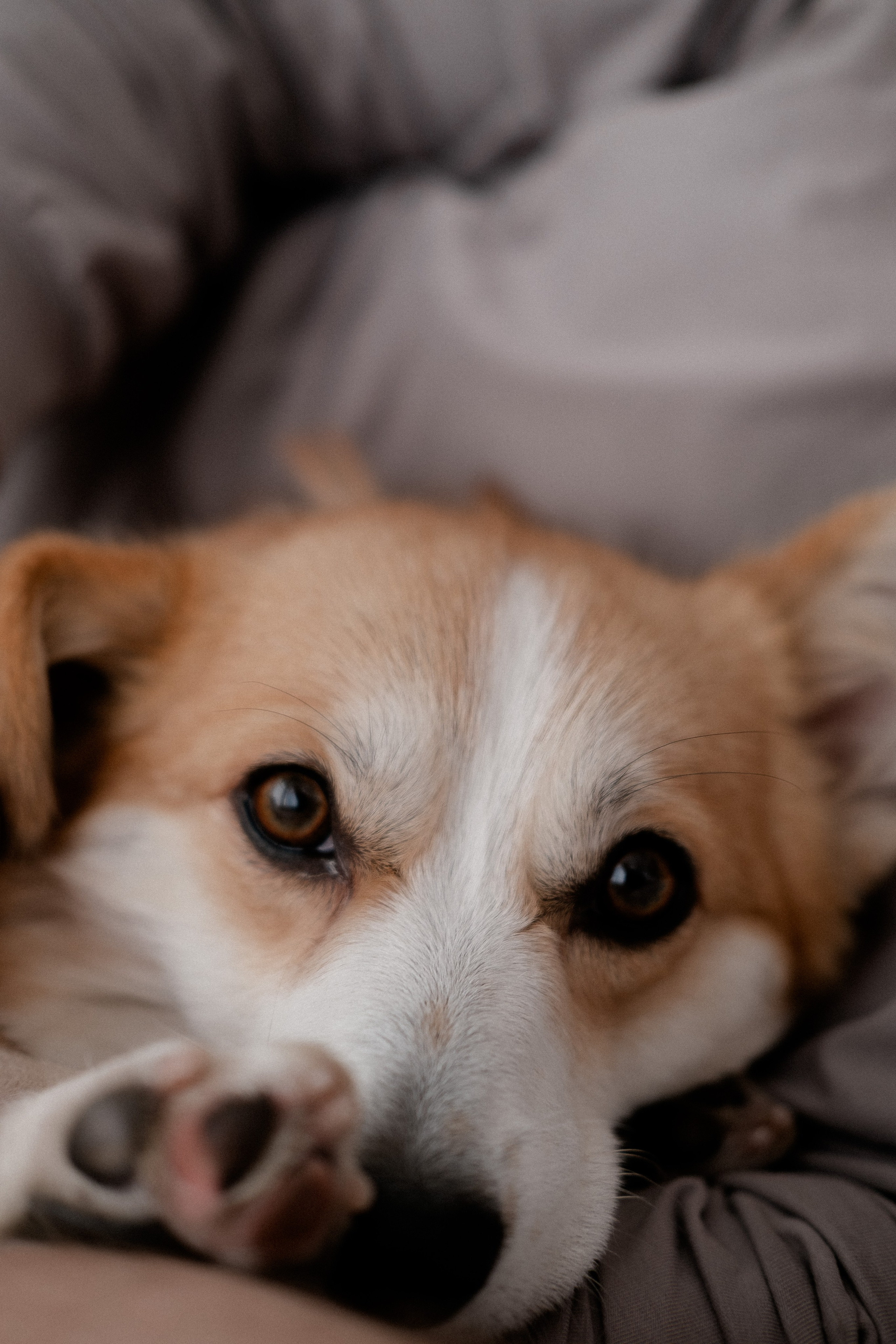 Радик. Свадебный и семейный фотограф в Казани и Зеленодольске Ланочкин Илья
