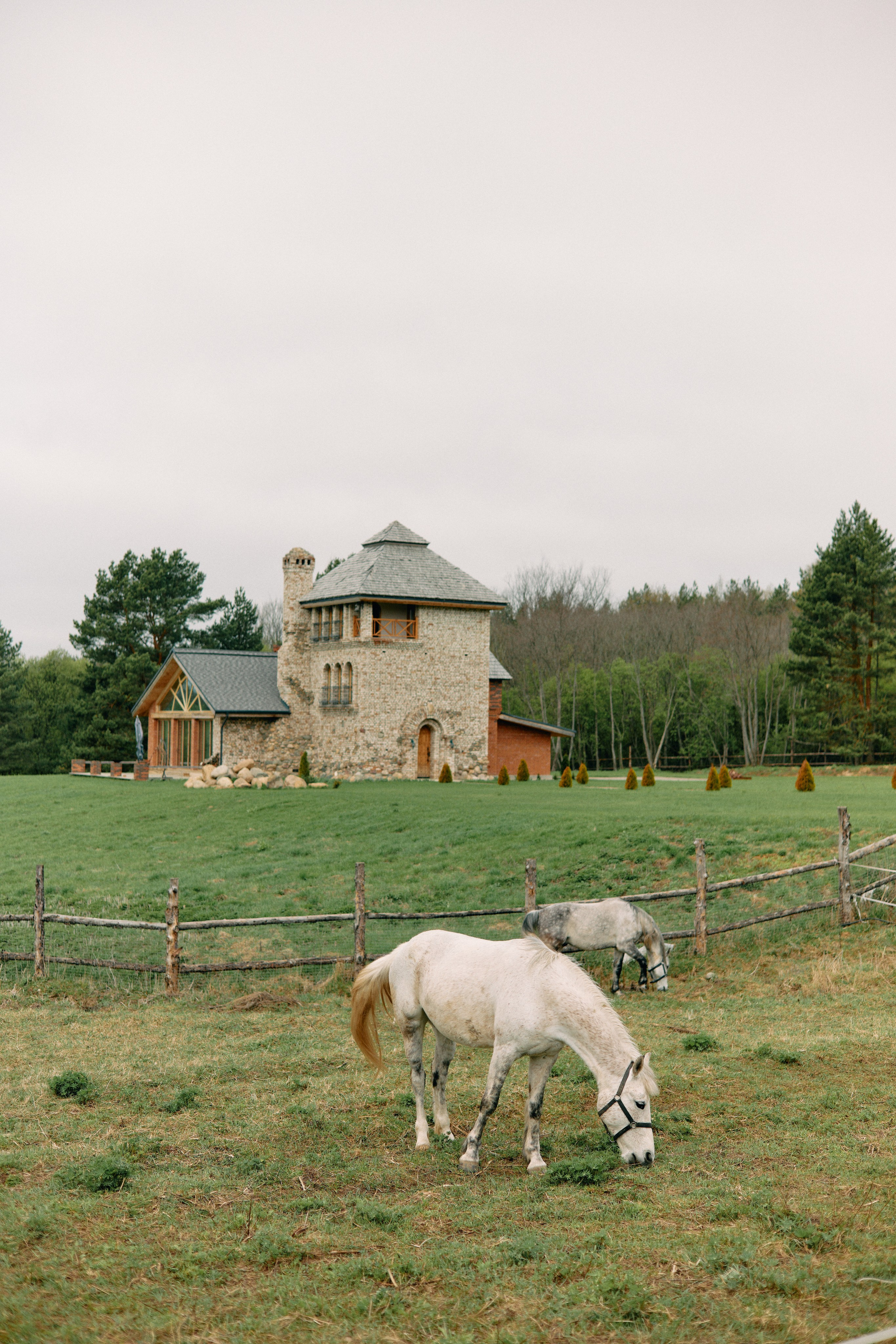 Бутик-отель Поле летом. Профессиональный Фотограф во Владимире, в Москве и в Суздале — Полина Романычева