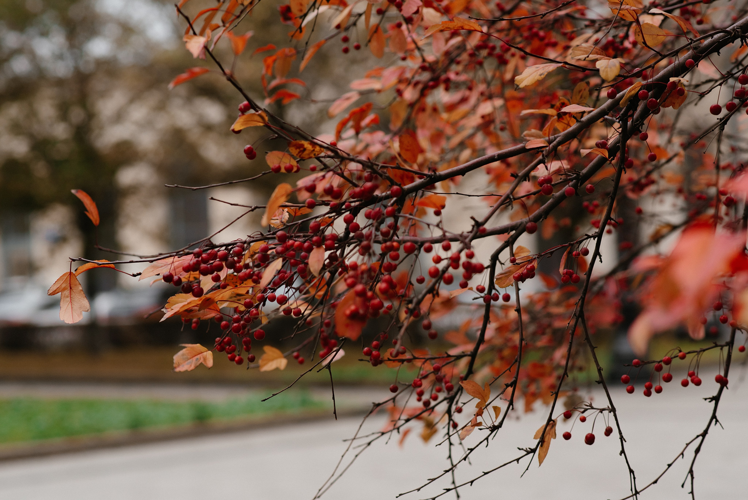 Максим и Кристина. Фотограф, визажист. Москва