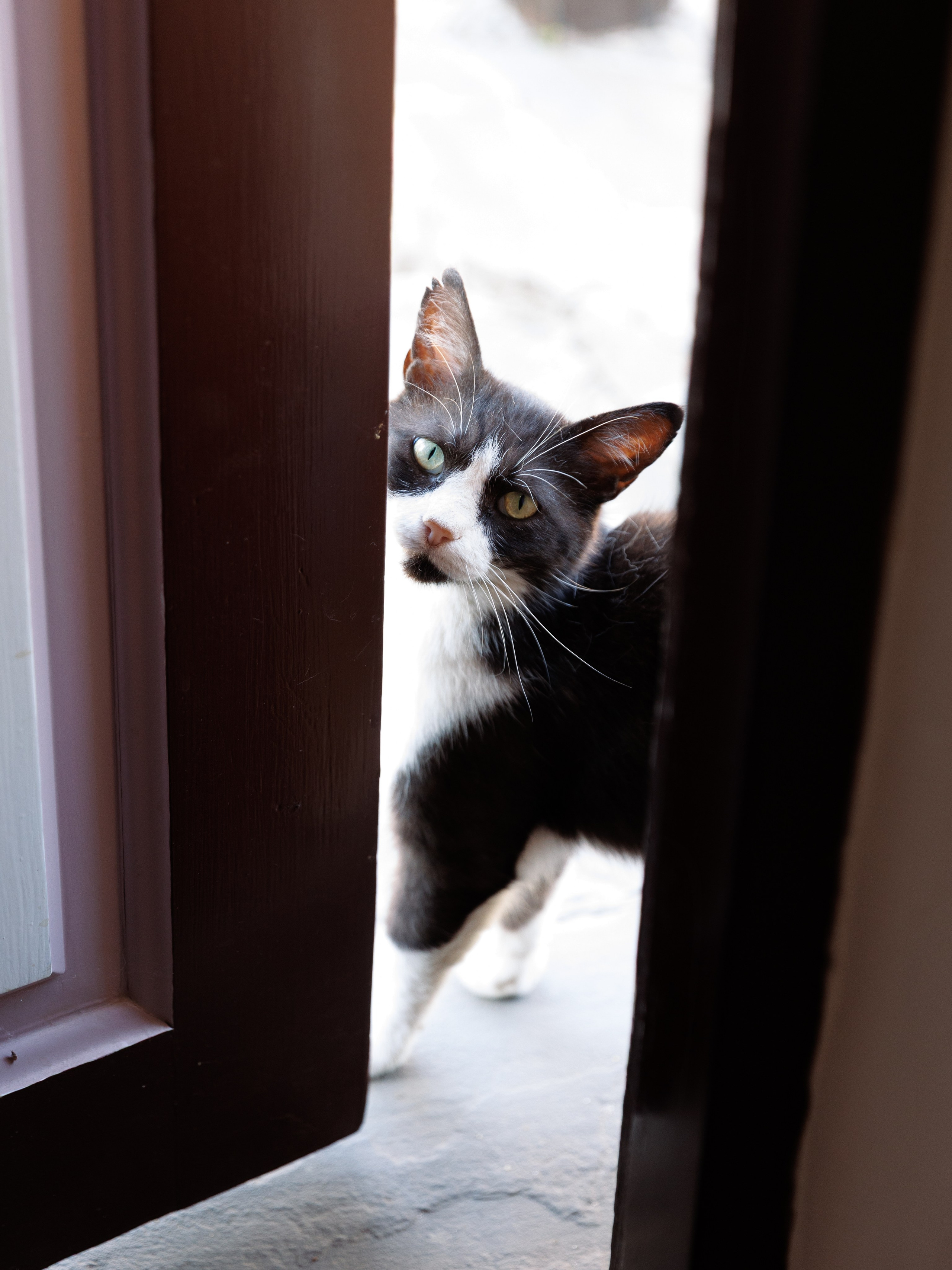 Артем и Анастасия. Фотограф