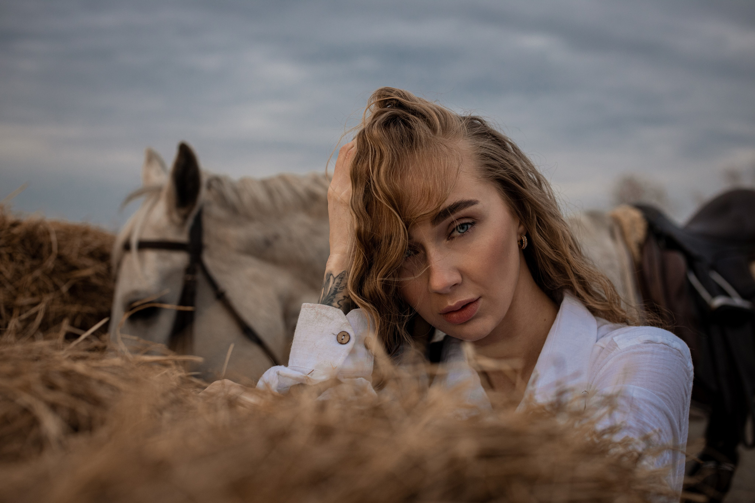 Человек и Лошадь. Главная