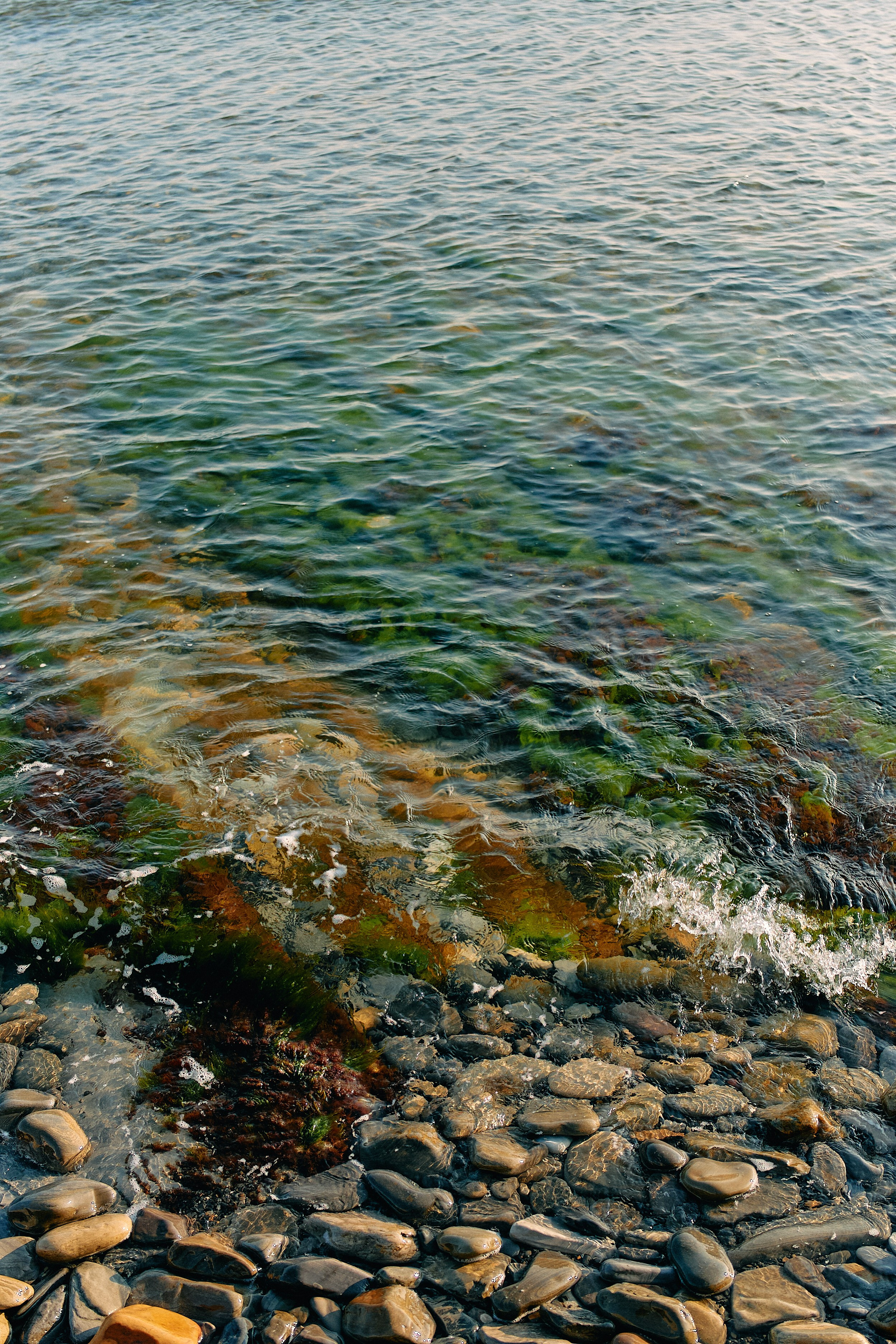 Юг России. Профессиональный Фотограф во Владимире, в Москве и в Суздале — Полина Романычева