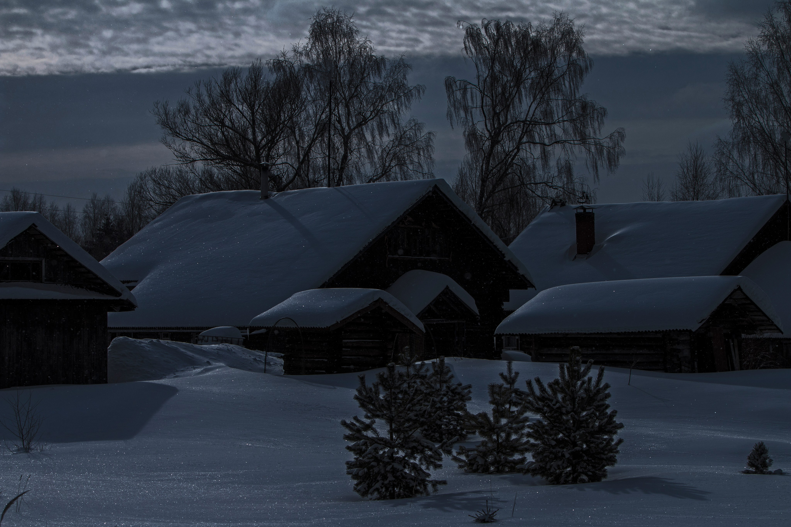 Фото. Фотограф Лагутин Анатолий