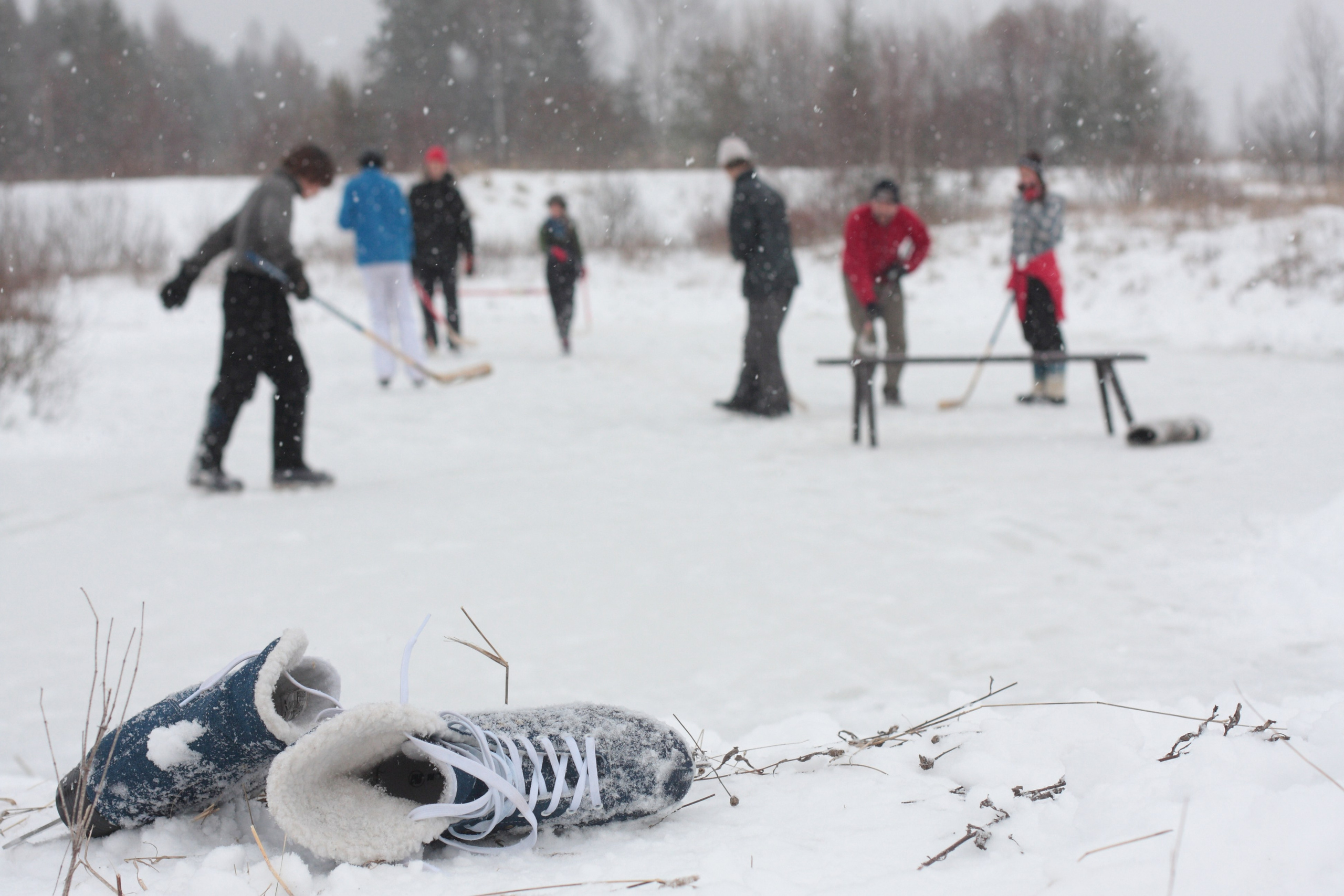 Жанр. Фотограф Лагутин Анатолий