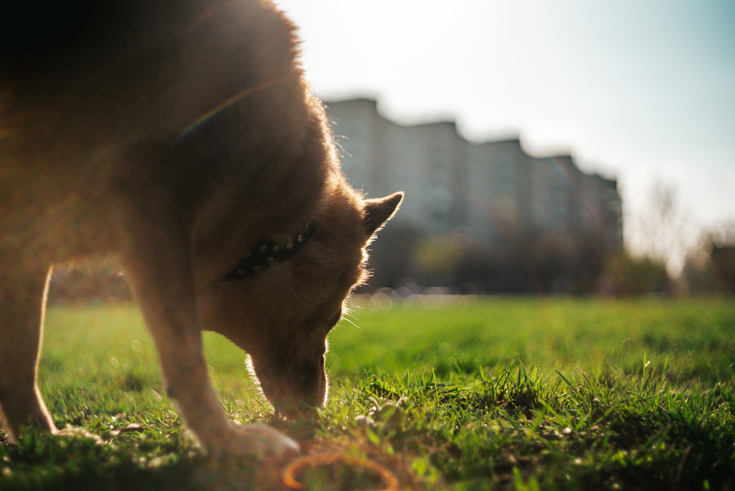 Портфолио. Фотограф в Нижнем Новгороде