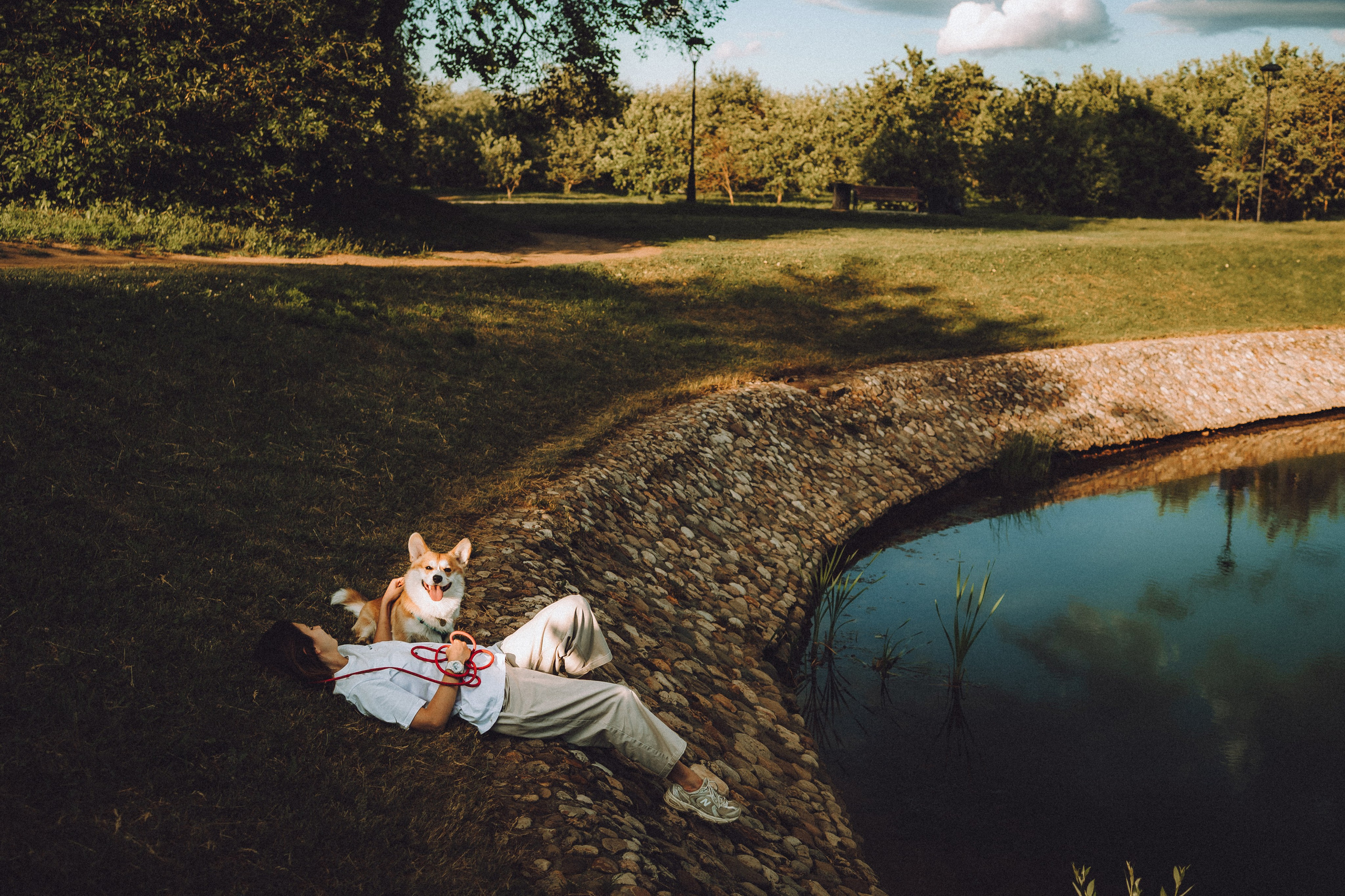 Вирджик и его семья