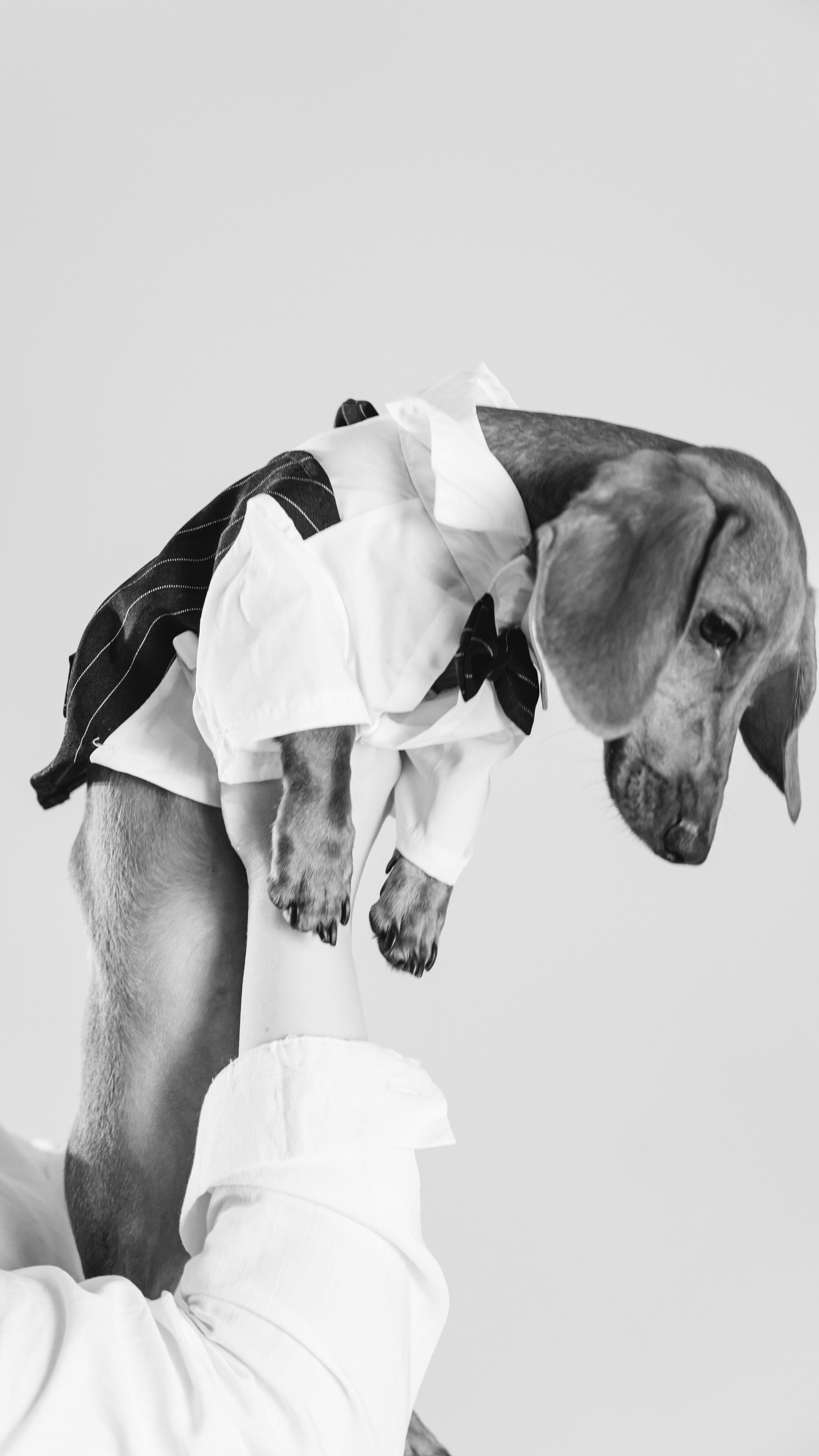 Анна и Сальвадор. Фотограф в Москве Юлия Першина