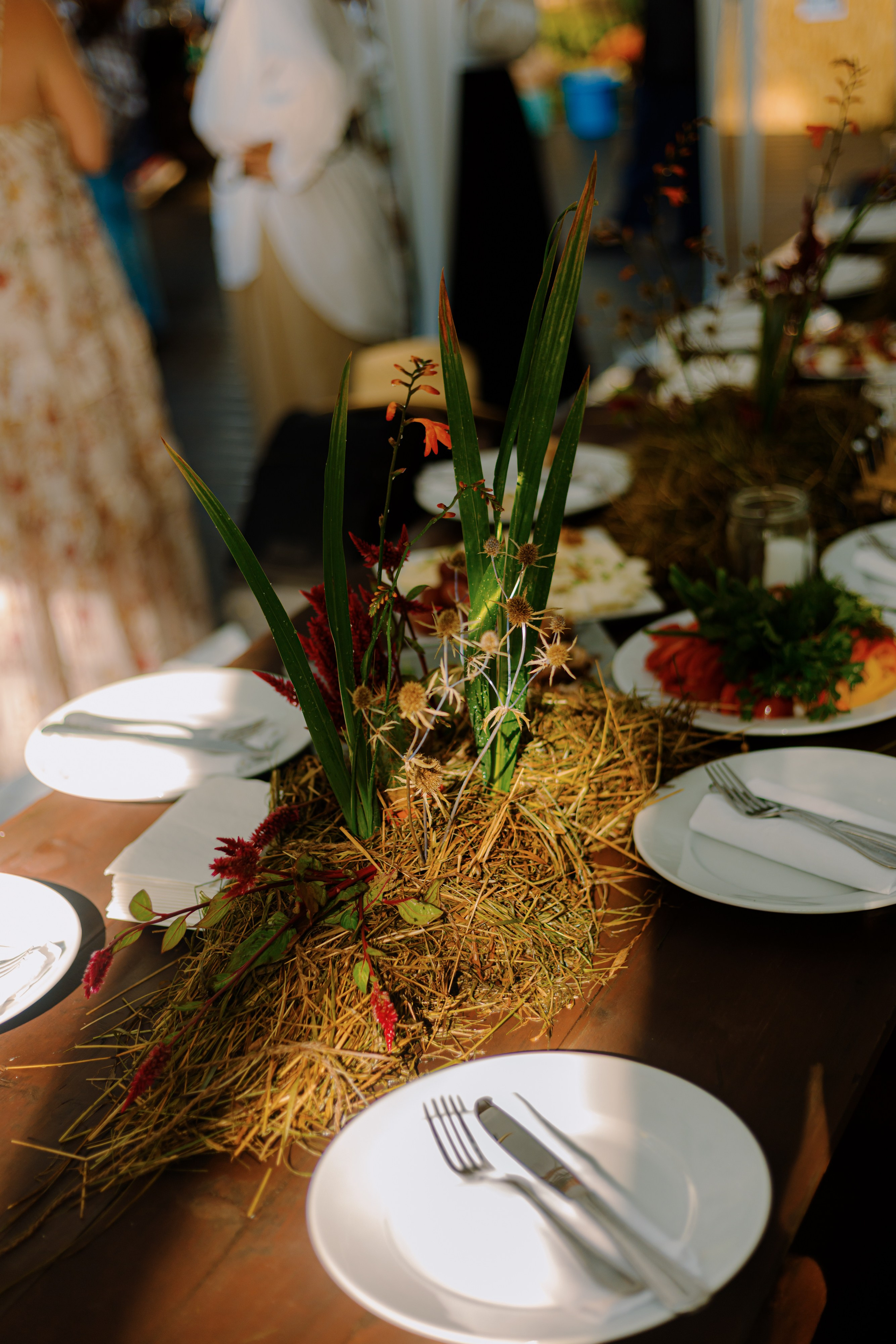 МНЕ В САПОГ ЗАПОЛЗЛА ЗМЕЯ!