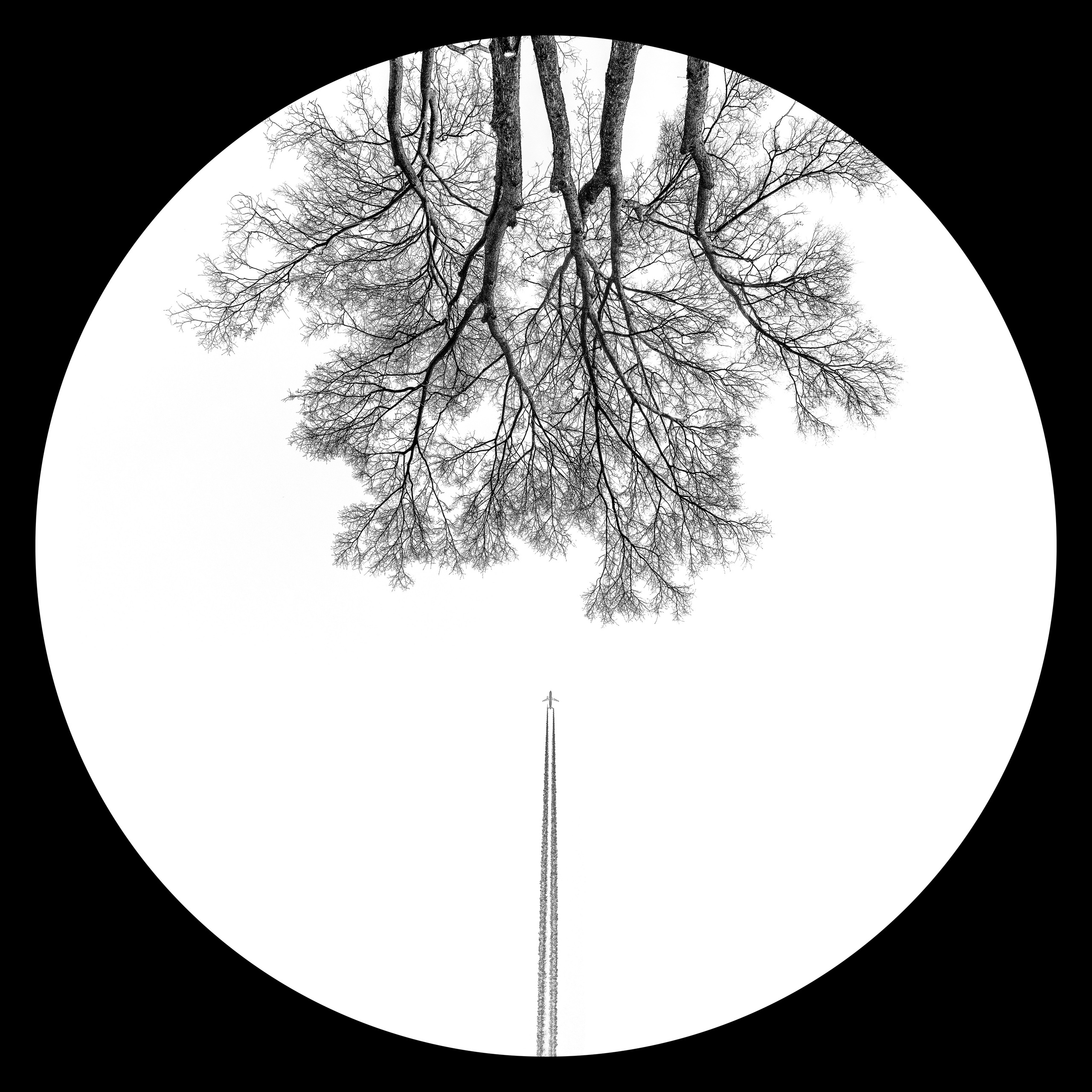 Хокку 2024. Яна Каменская