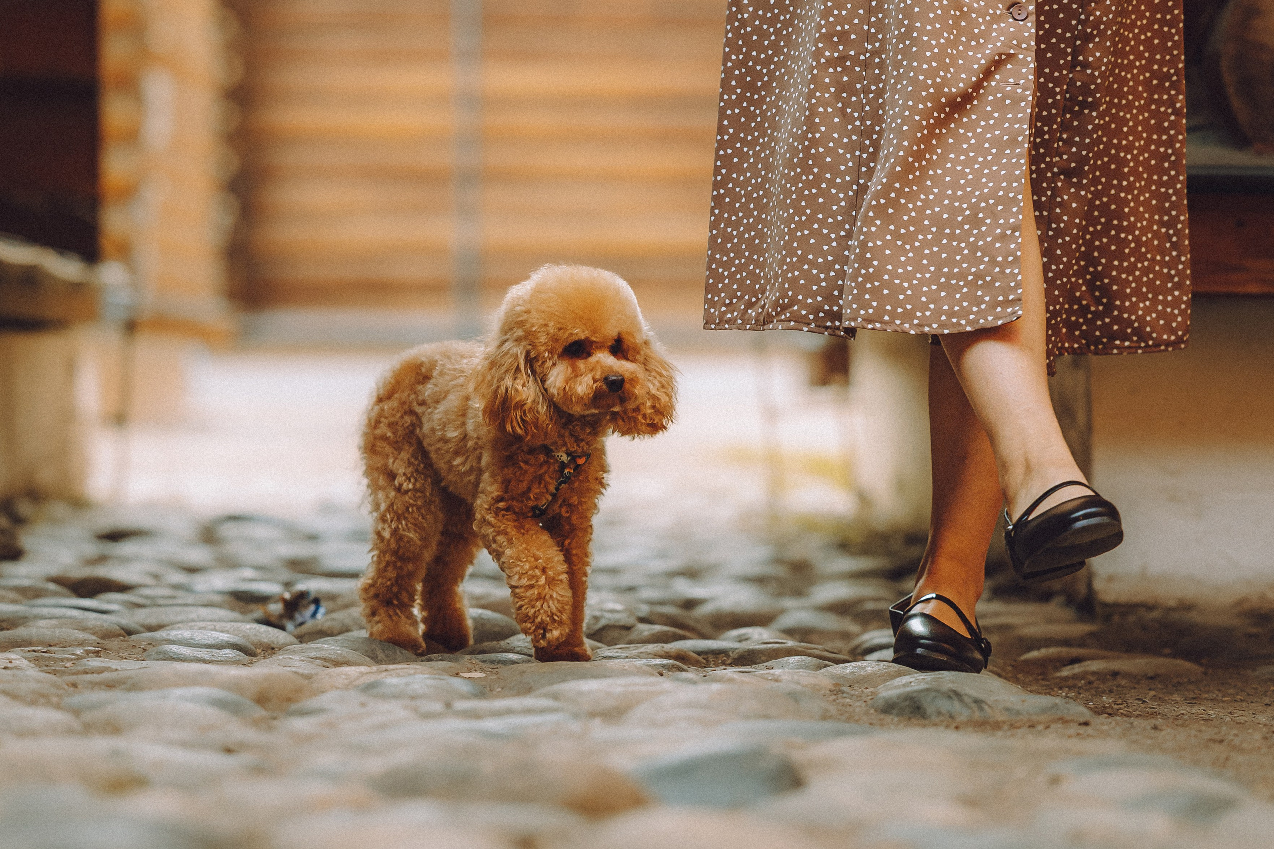 Даша и Джули