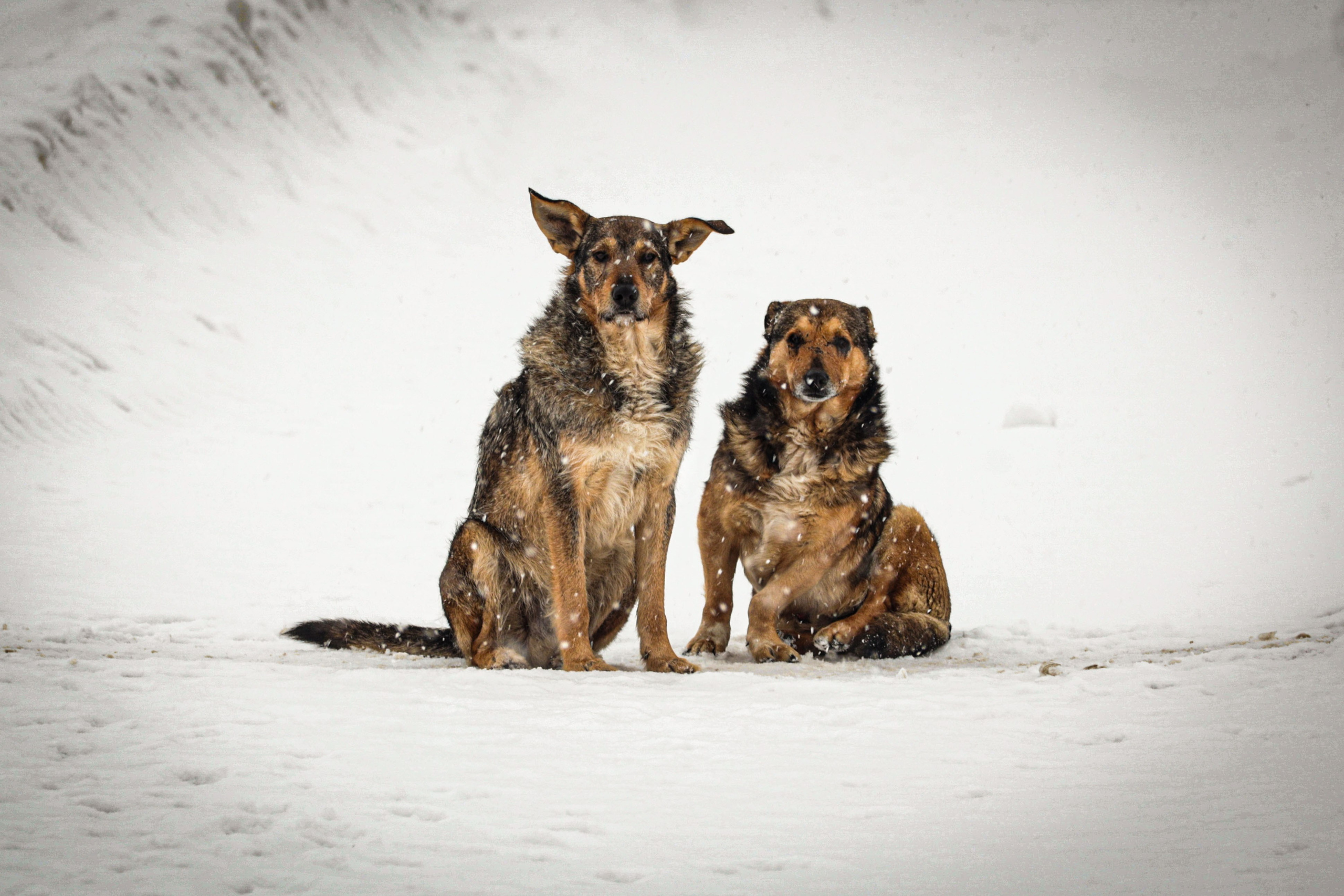 Фауна. Фотограф художник модель Юра Козлов Москва
