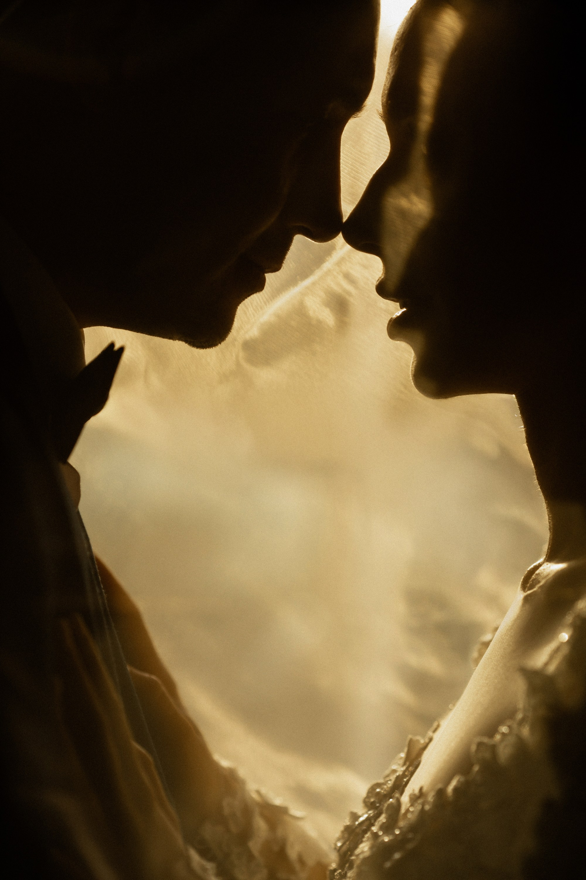 Олег и Юлия 2.11.24. Свадебный фотограф в Ростове-на-Дону