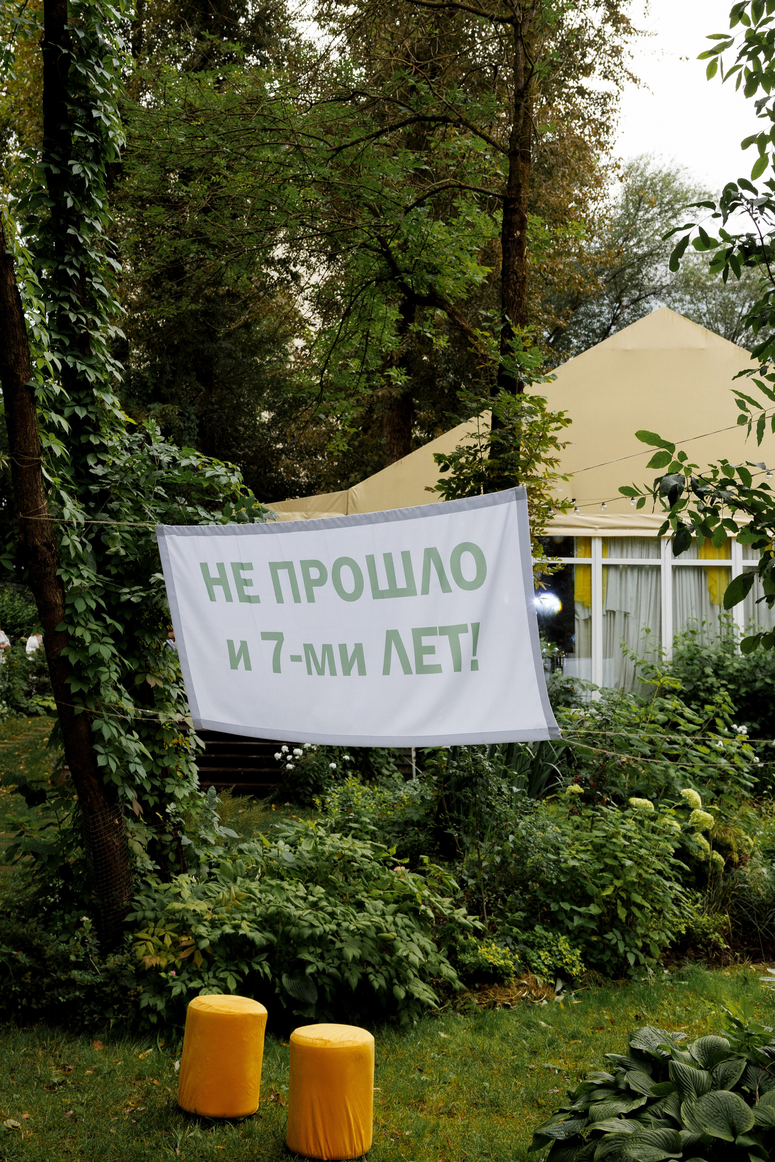 Ромашковые ромашки. Свадебный и семейный фотограф в Твери, Москве, Санкт-Петербурге