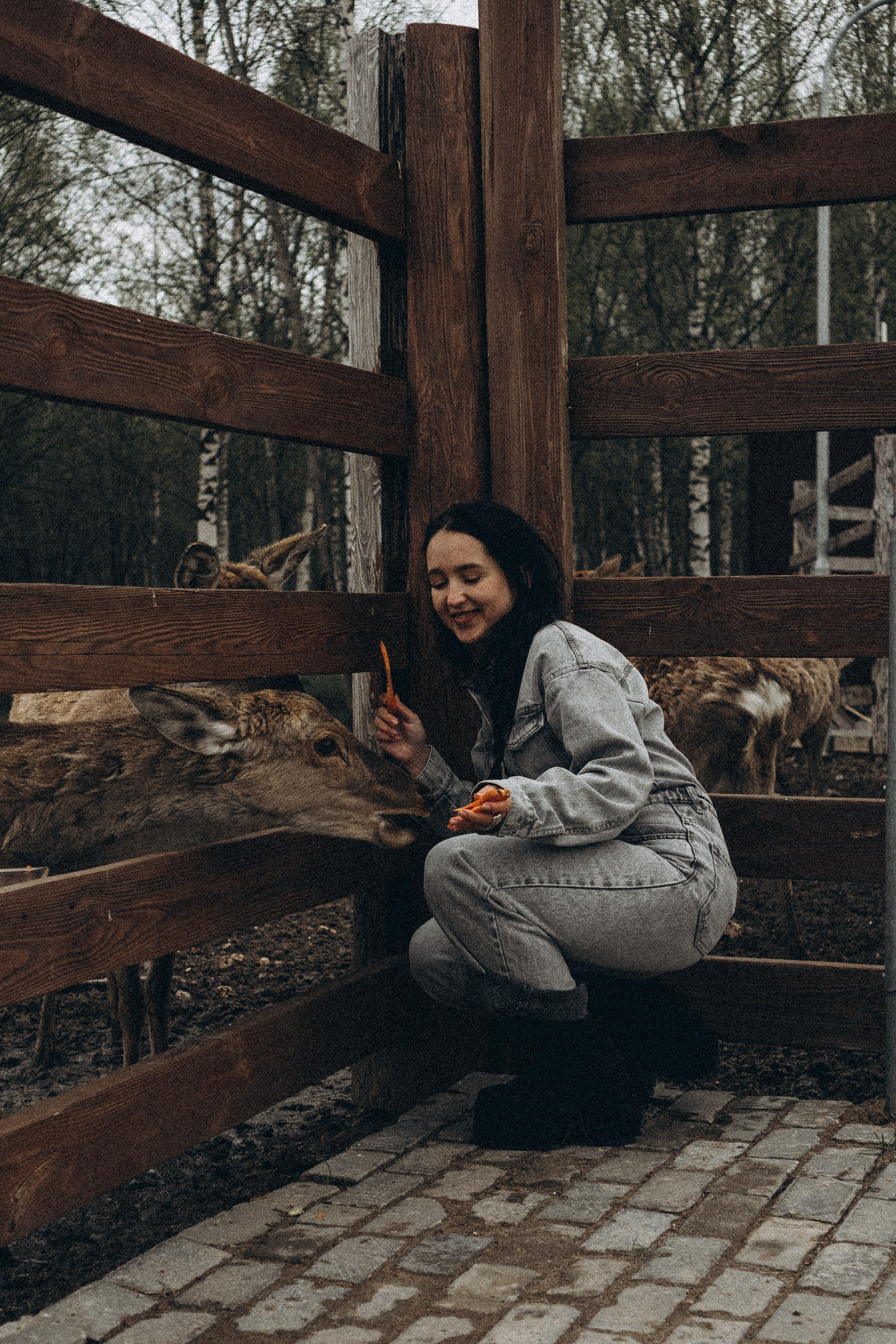 ОЛЕНЬЯ ФЕРМА В ТВЕРИ. Профессиональный фотограф, Санкт-Петербург — Виктория Богомолова