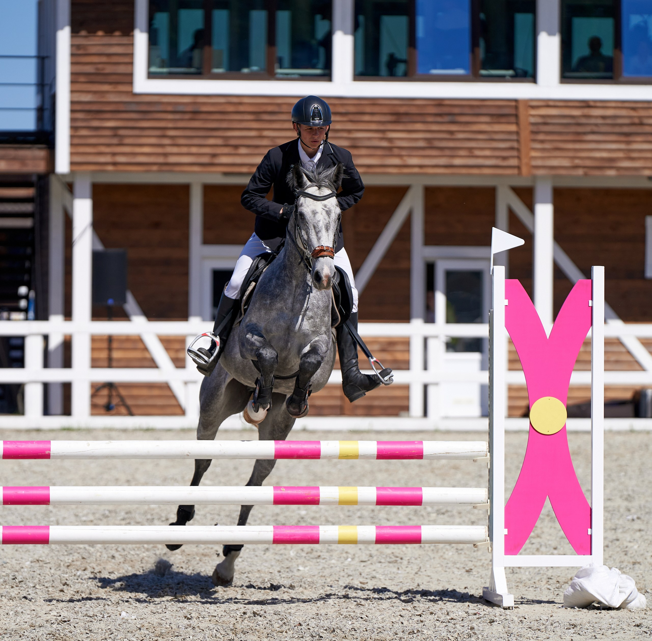 Соревнования на лошадях — галерея NATRIEL