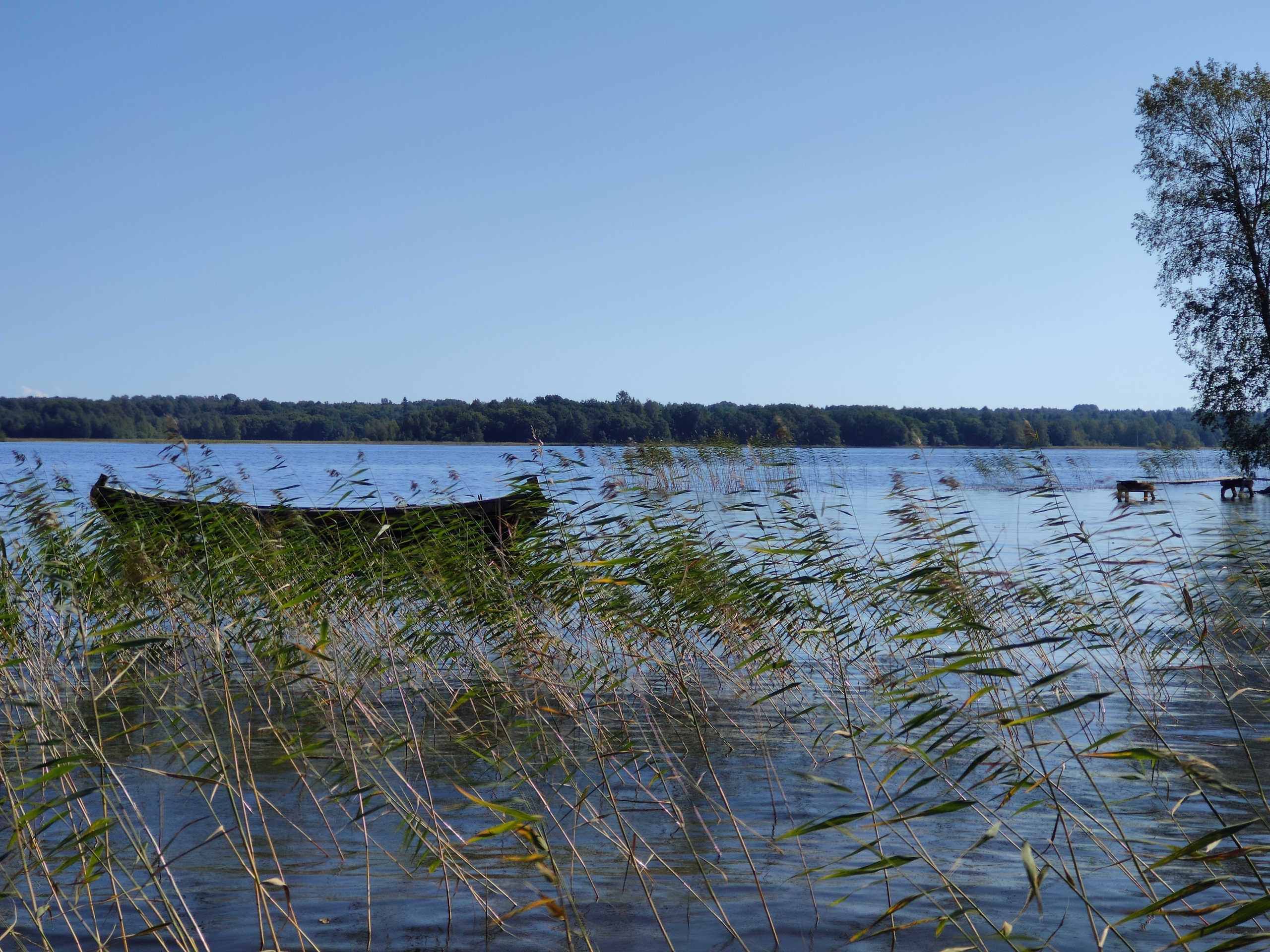 Не хватает только пляжа