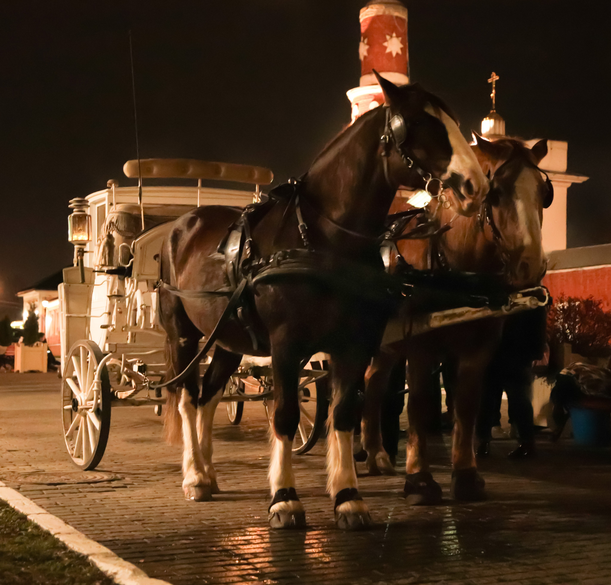 Ночная Коломна. Репортажный фотограф в Москве Агафонова Мария