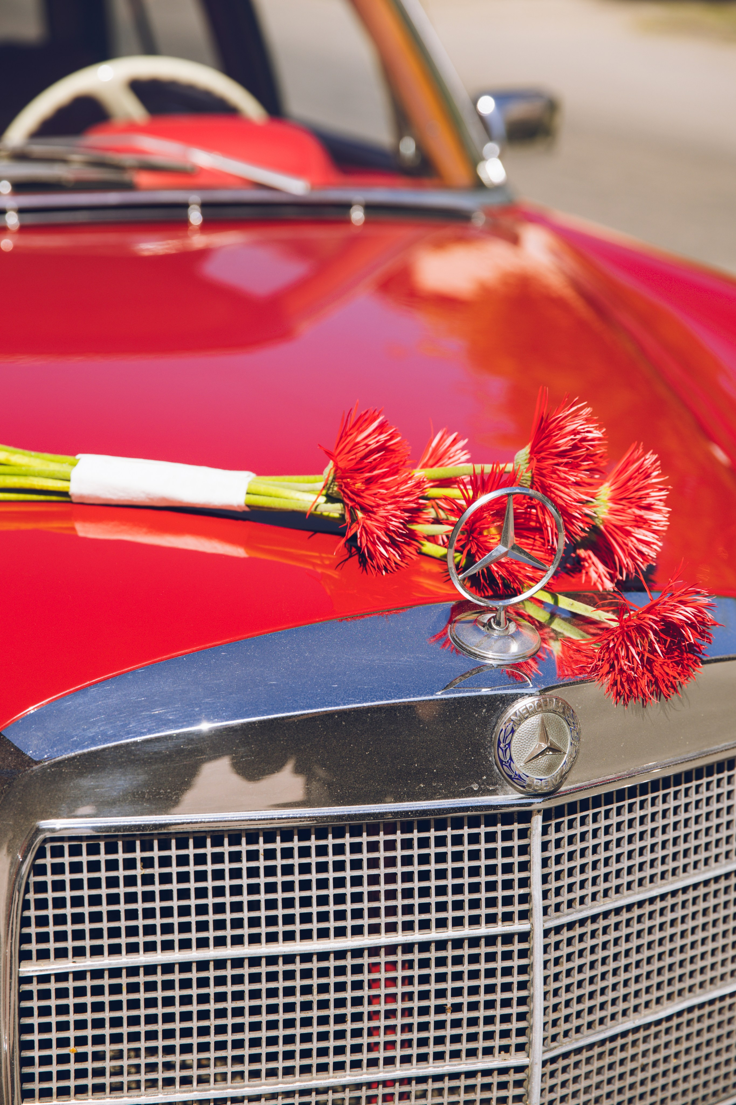 Елизавета и Леонид. Свадебный и семейный фотограф Егорова Юлия