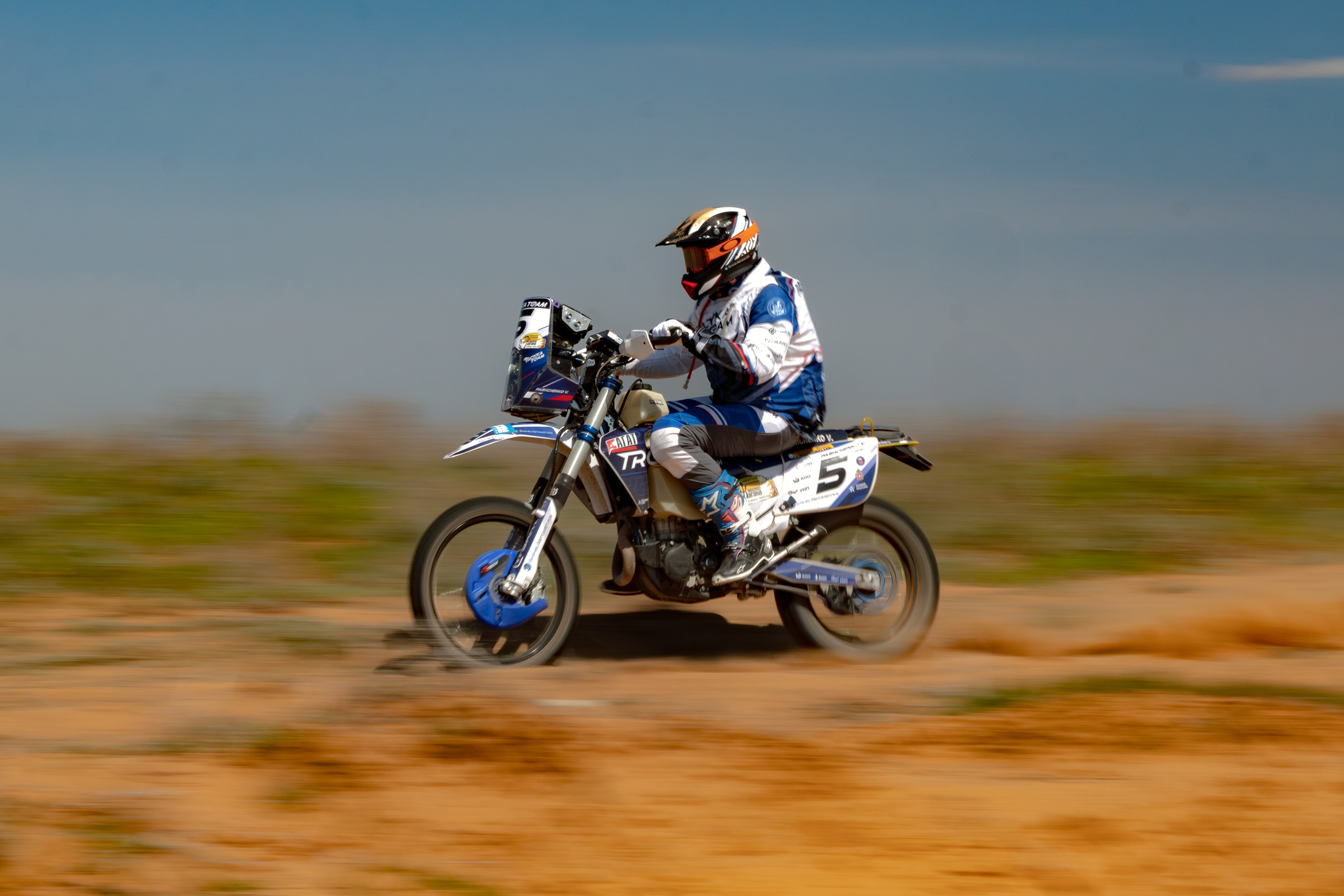 Золото Кагана 2025. Filmedia Production