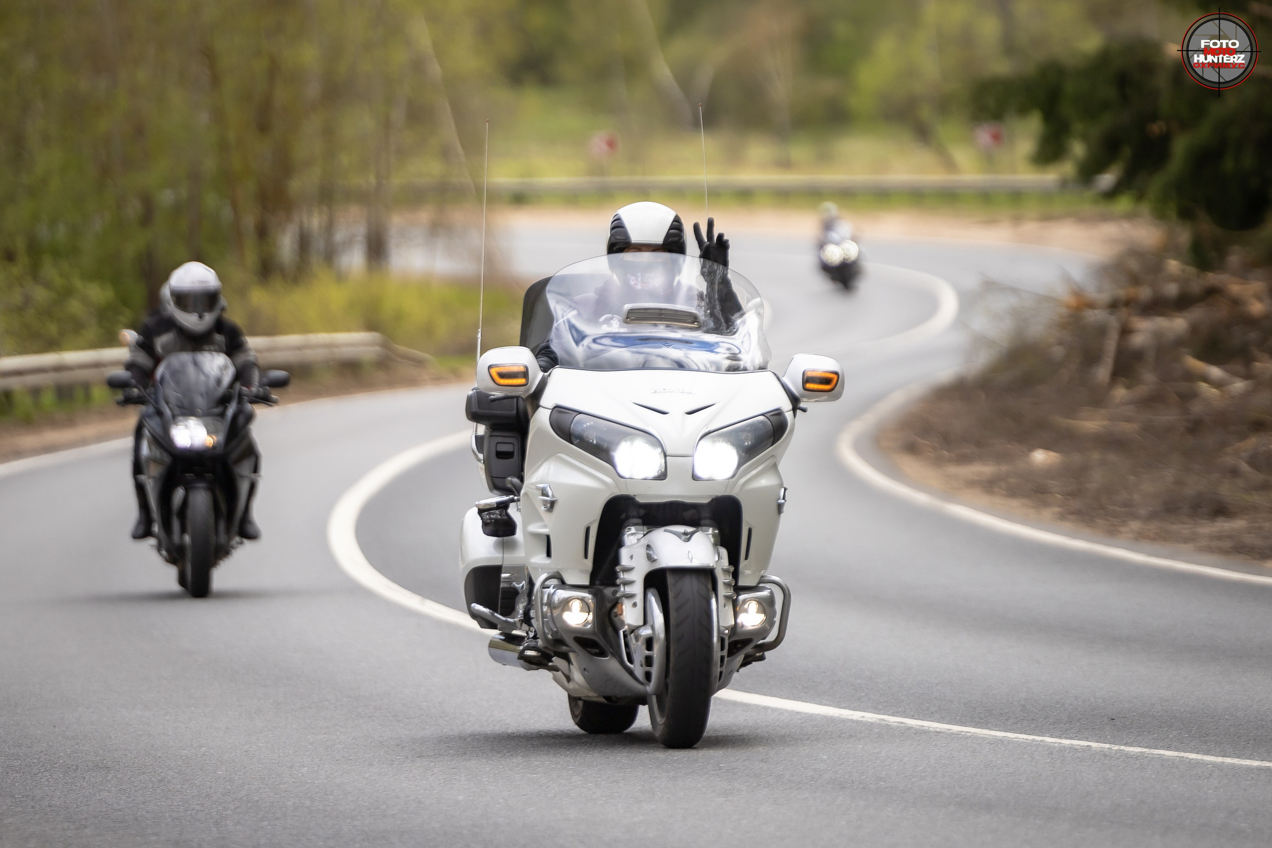 Первое Сафари в 2025 г. на Рогачевском ш. Фотограф Владимир Охрименко