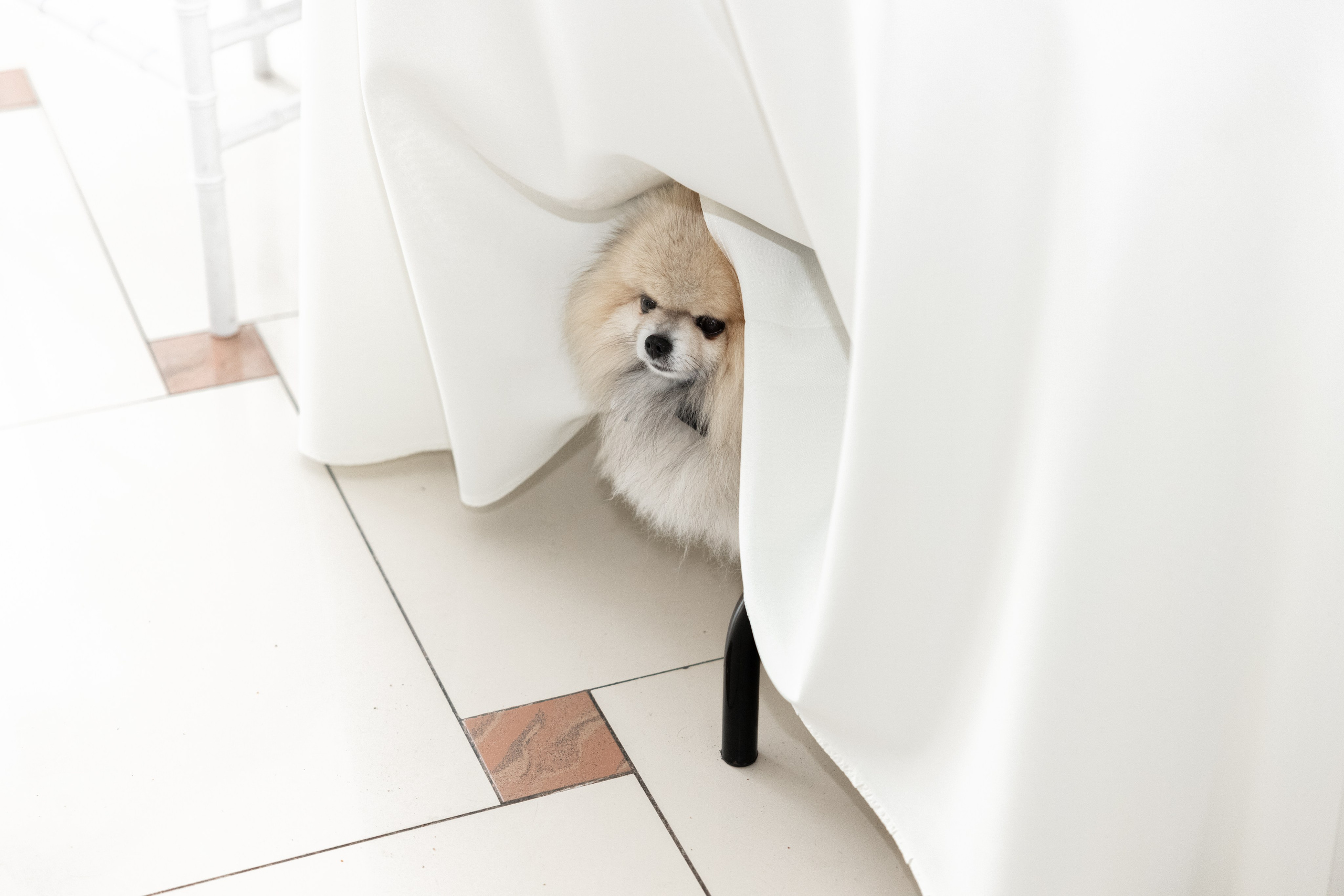 Елизавета и Александр. Свадебный фотограф Иван Петров