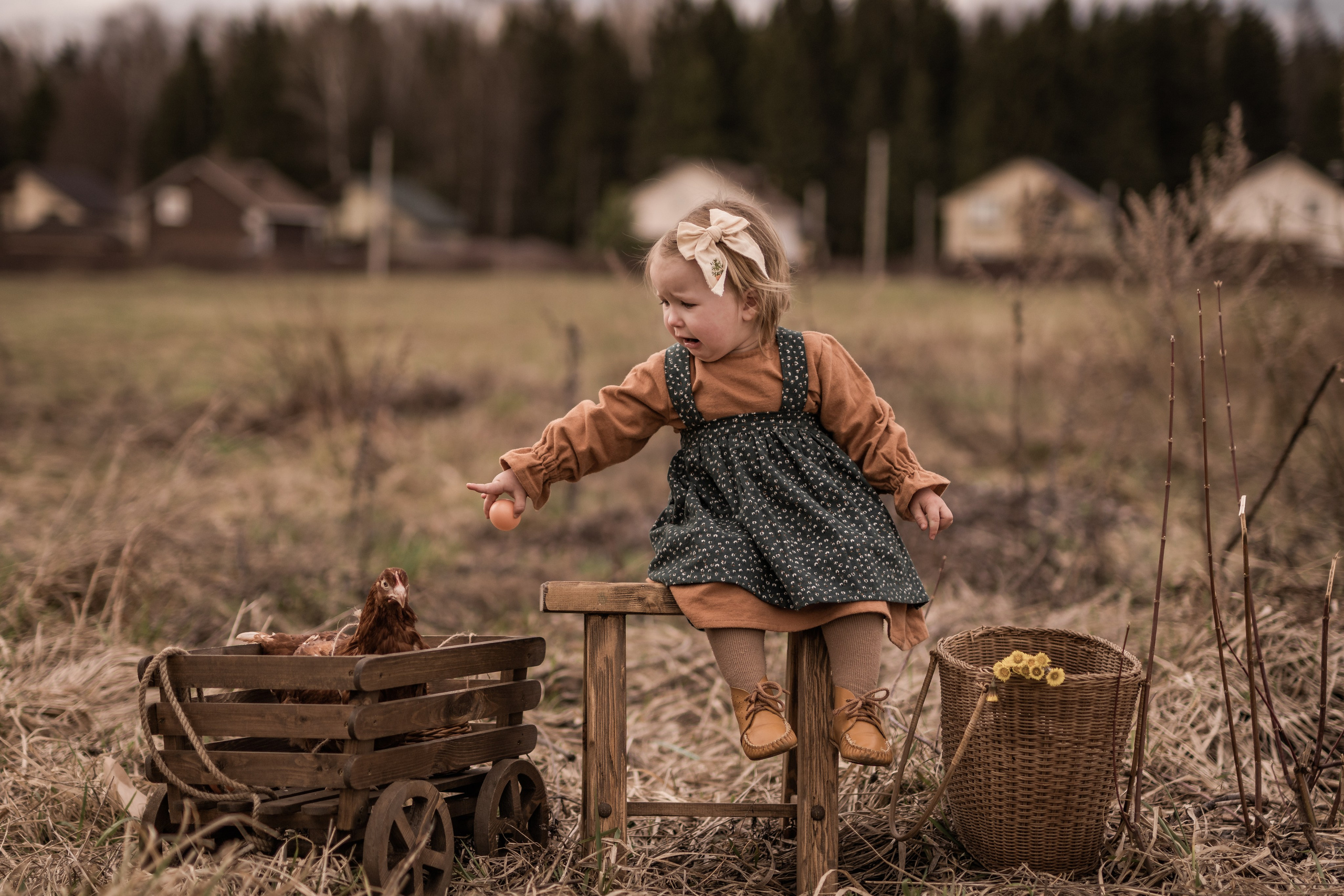 Куриная история. Семейный фотограф Ефремова Виктория