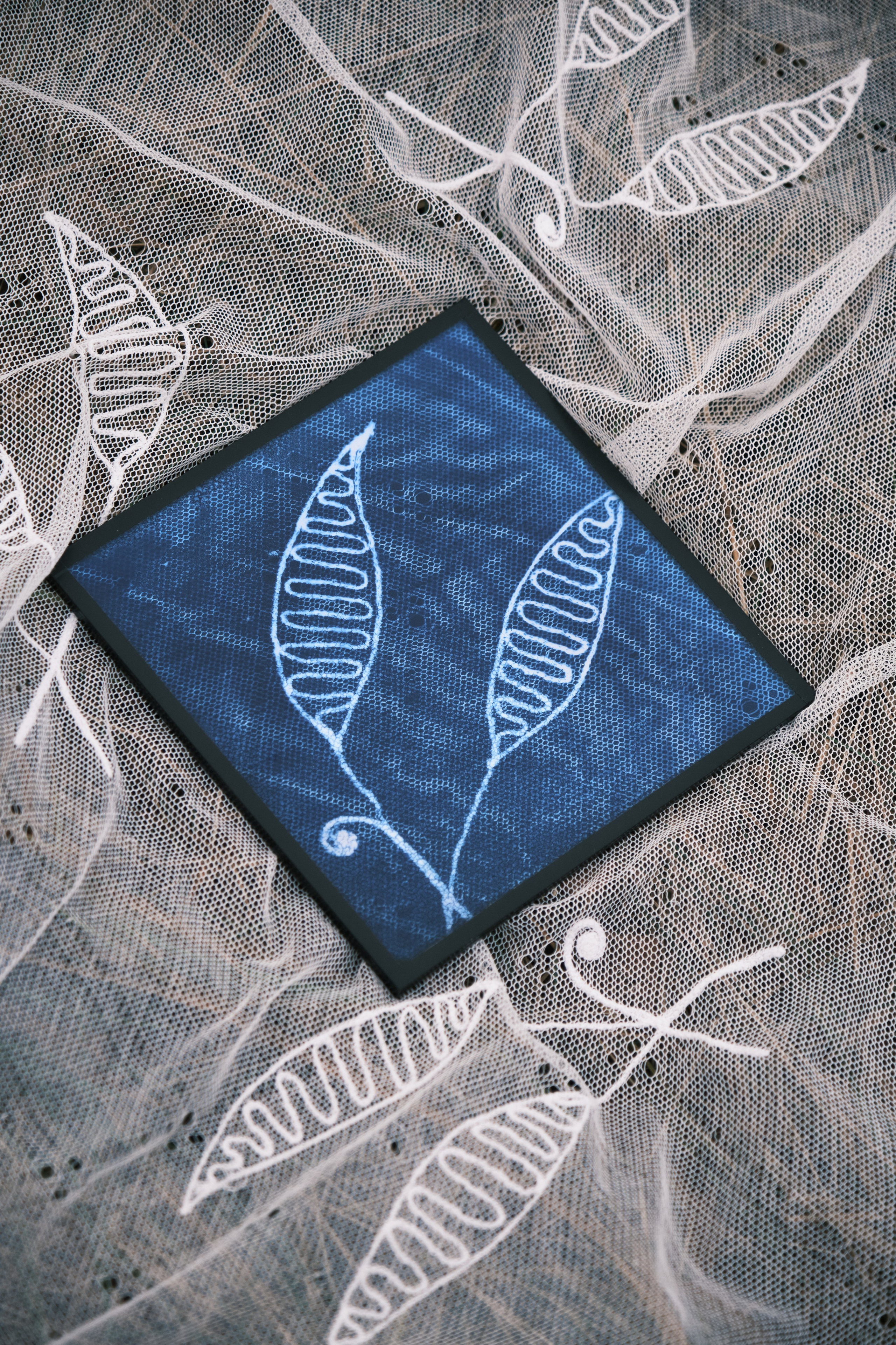 Alternative processe. Maria Norden