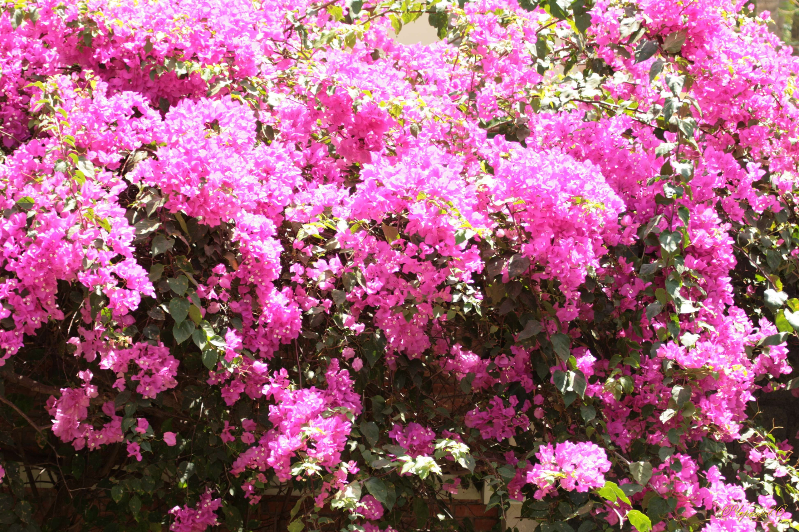 Вьетнам 2008 г. Улица, люди, жизнь…