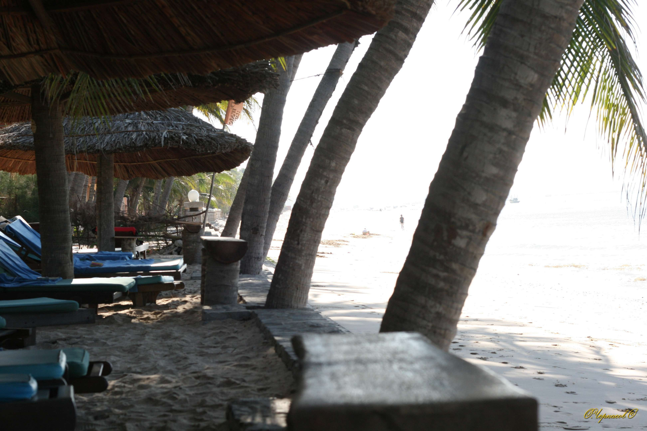 Вьетнам 2008 г. Улица, люди, жизнь…