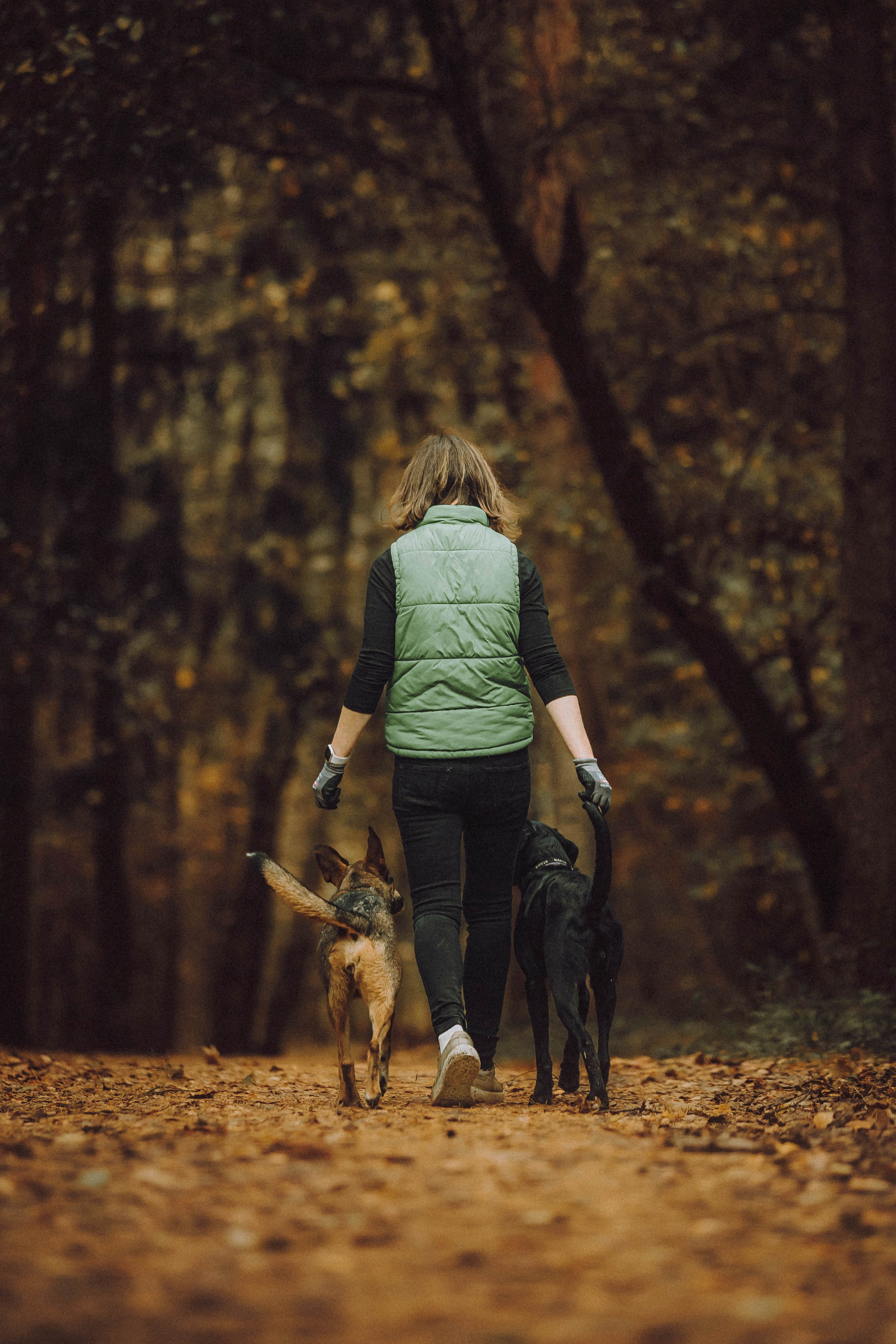 Аня, Нео и Луна