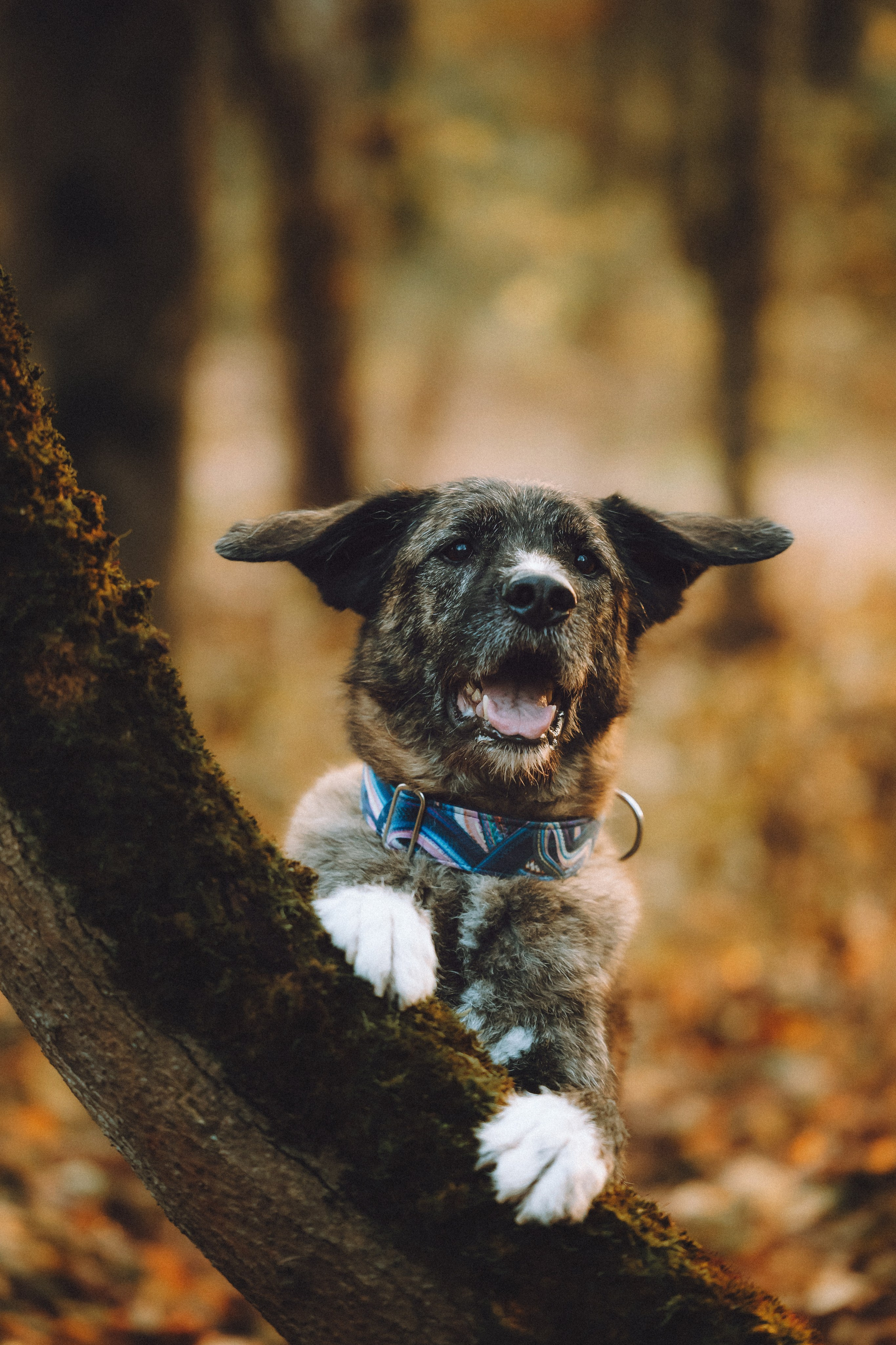 Рик, Джек и их семья