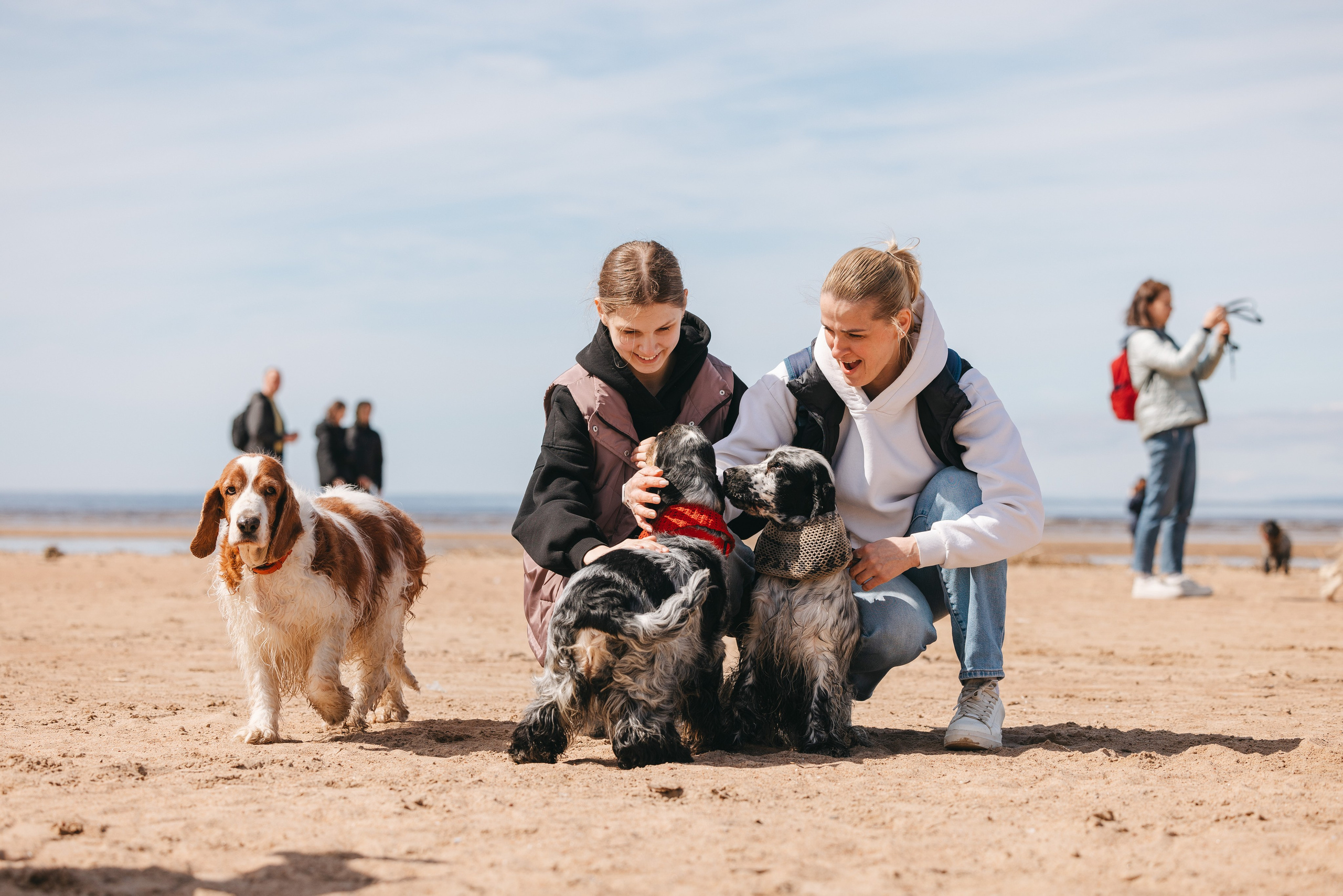 Спанимания. Фотограф анималист Осипчикова Мария