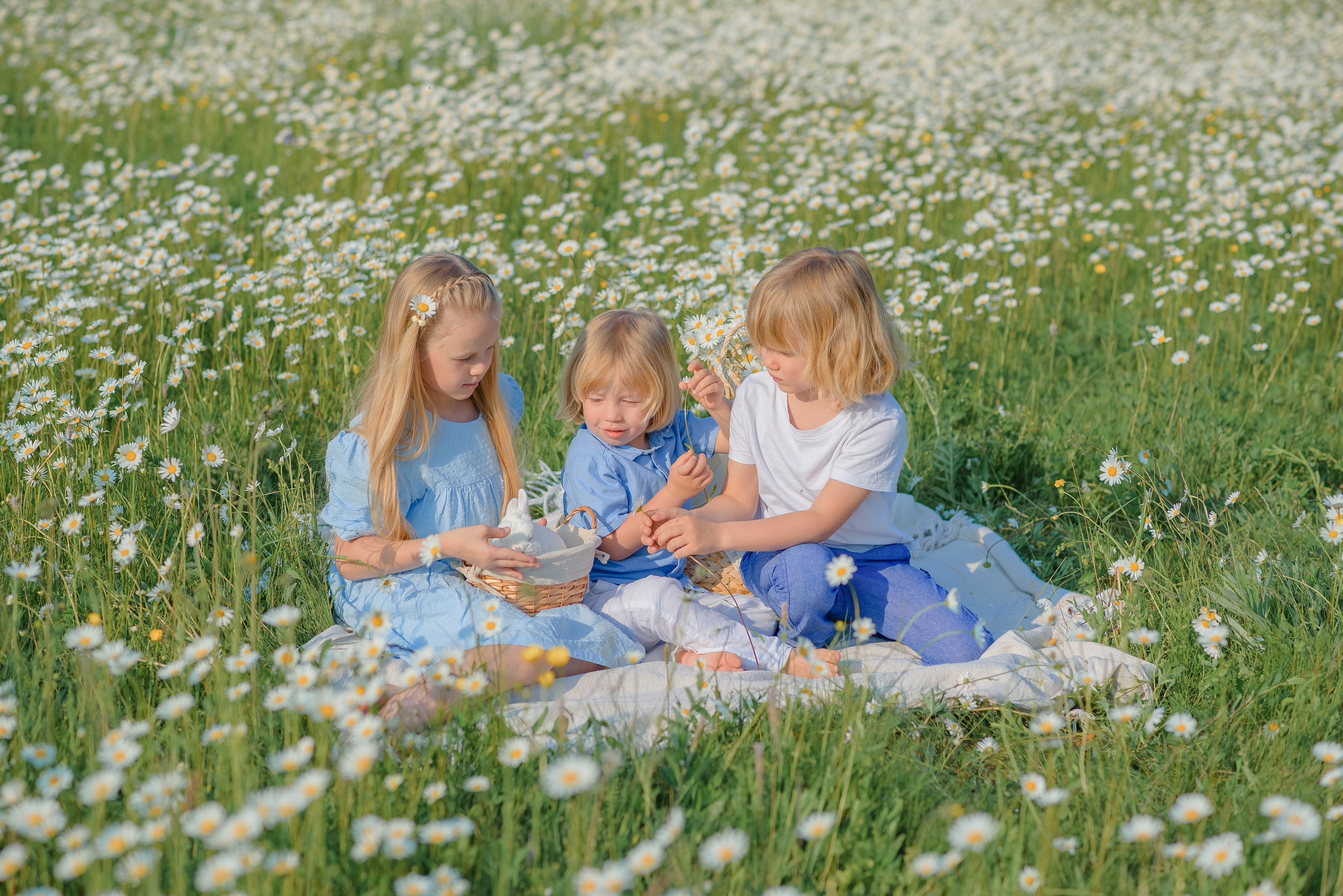 Ромашковое поле. Семейный фотограф в Рязани Мария Ермакова