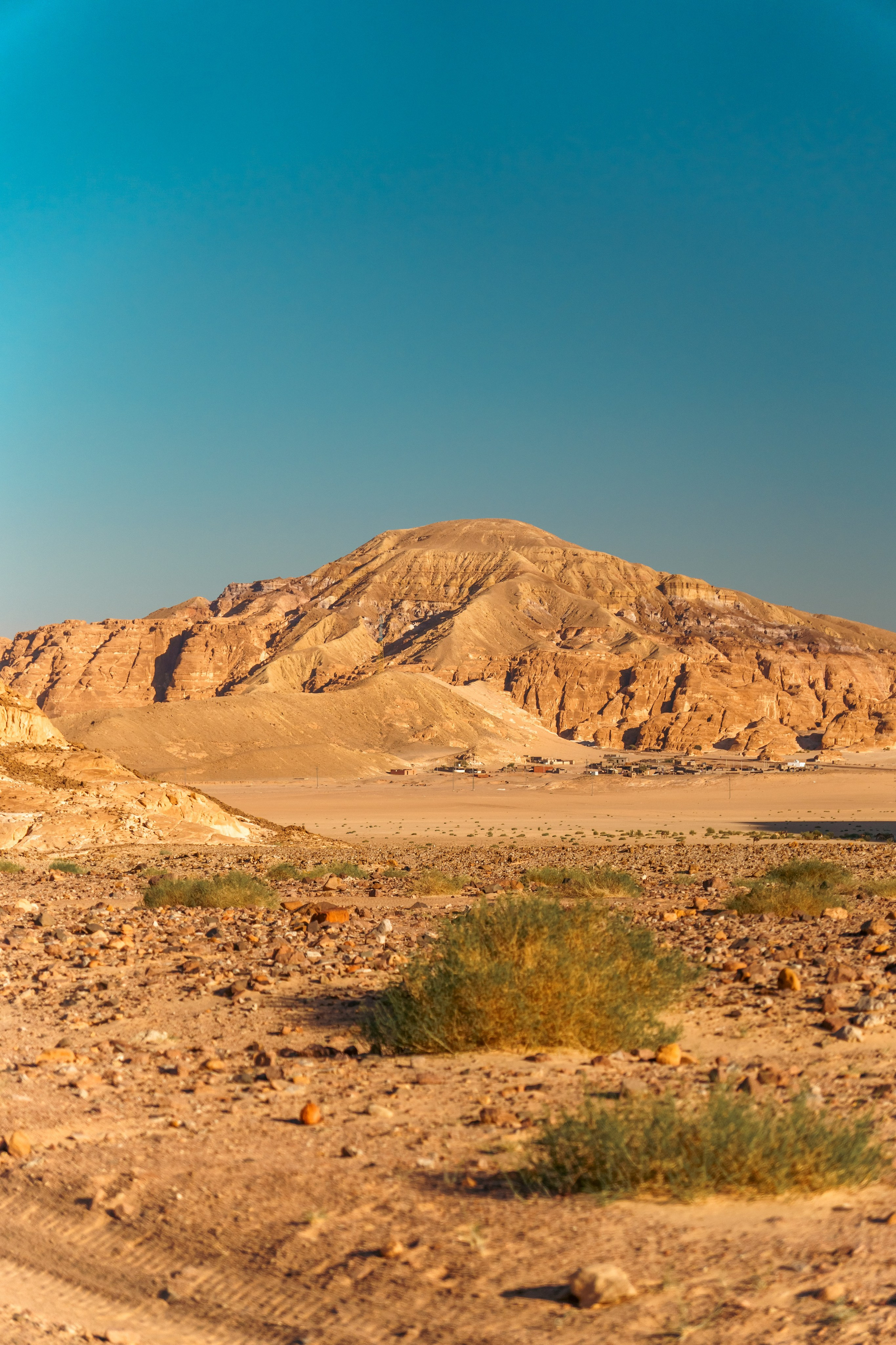 Природа. Фотограф в Санкт-Петербурге Ибрагимова Алина